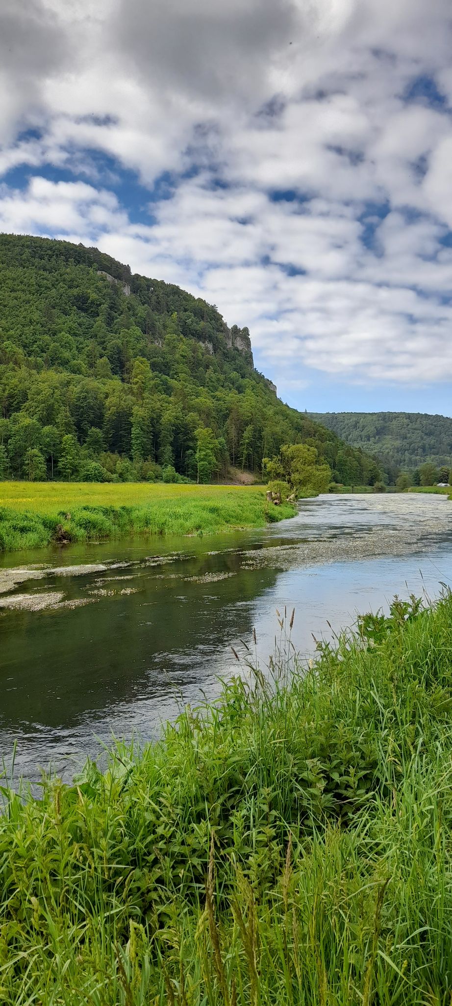 Donau