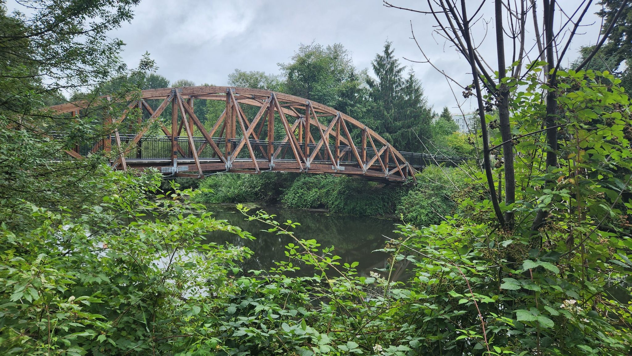 Wooden truss bridge spanning a river, framed by dense green trees. - Sammamish River Bridge – Bridge Over Sammamish River loop from Shelton View Forest