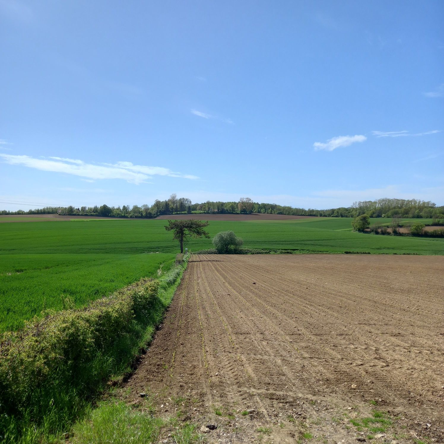 vallon après Carly