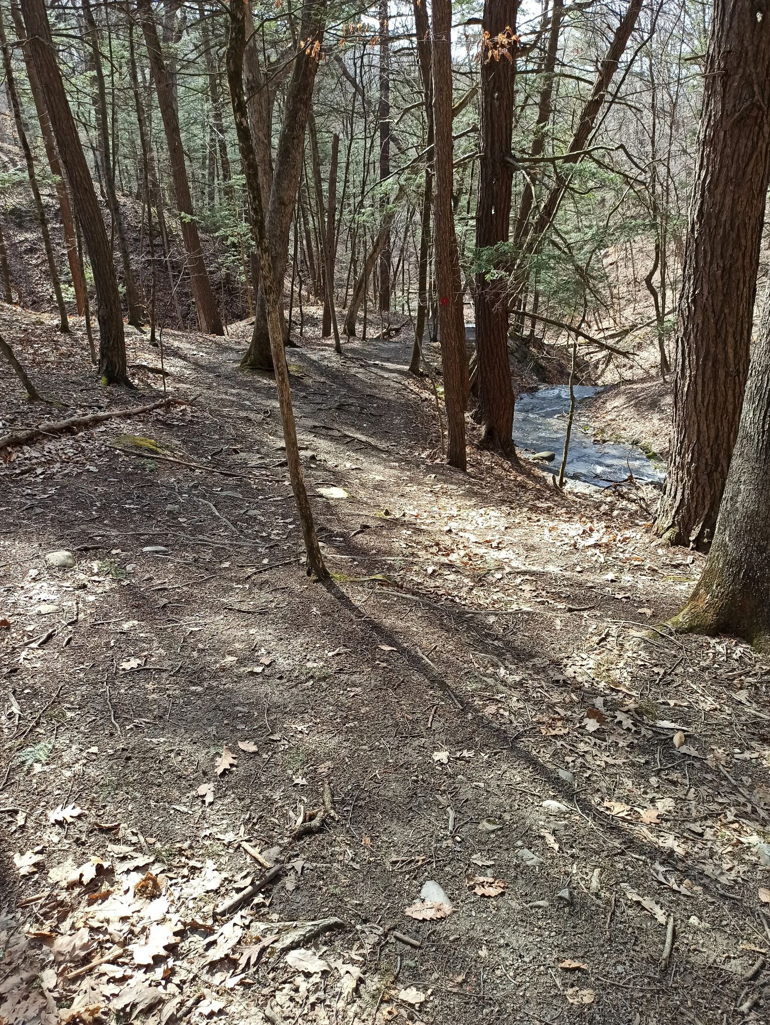 Dappled sunlight on a dirt path winding through a bare forest, stream visible. - Waterfall Trails loop