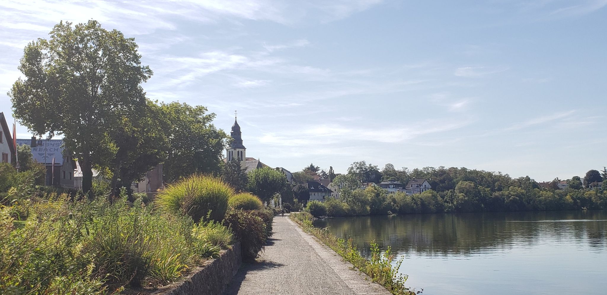 Kelsterbacher Mainufer