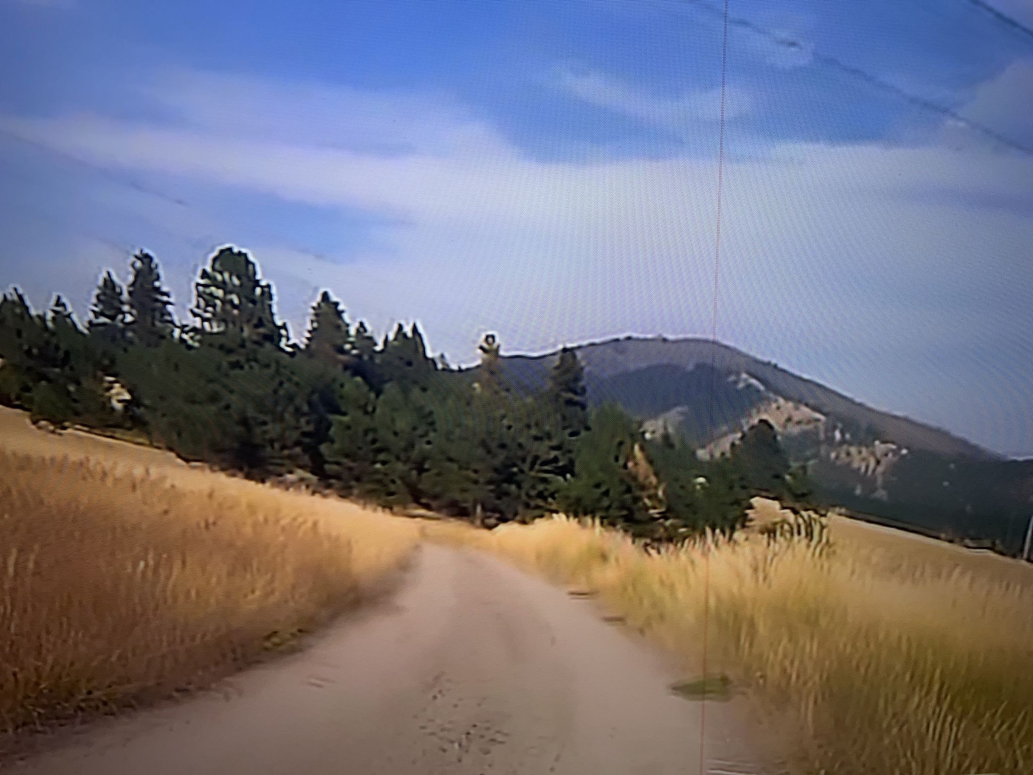 Dirt road through dry grass, leading to pine trees and a distant mountain. - Deer Creek Sneak Loop