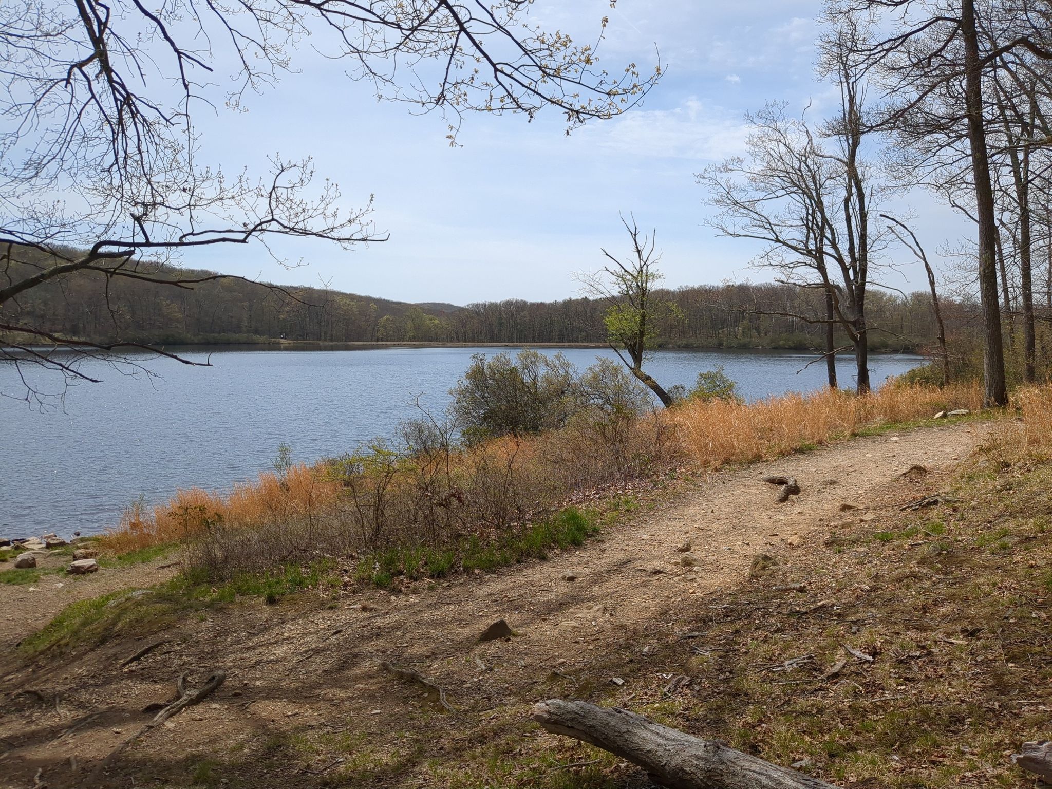 A dirt path winds along a calm lake with wooded hills under a bright sky. - Hogencamp Mountain Loop
