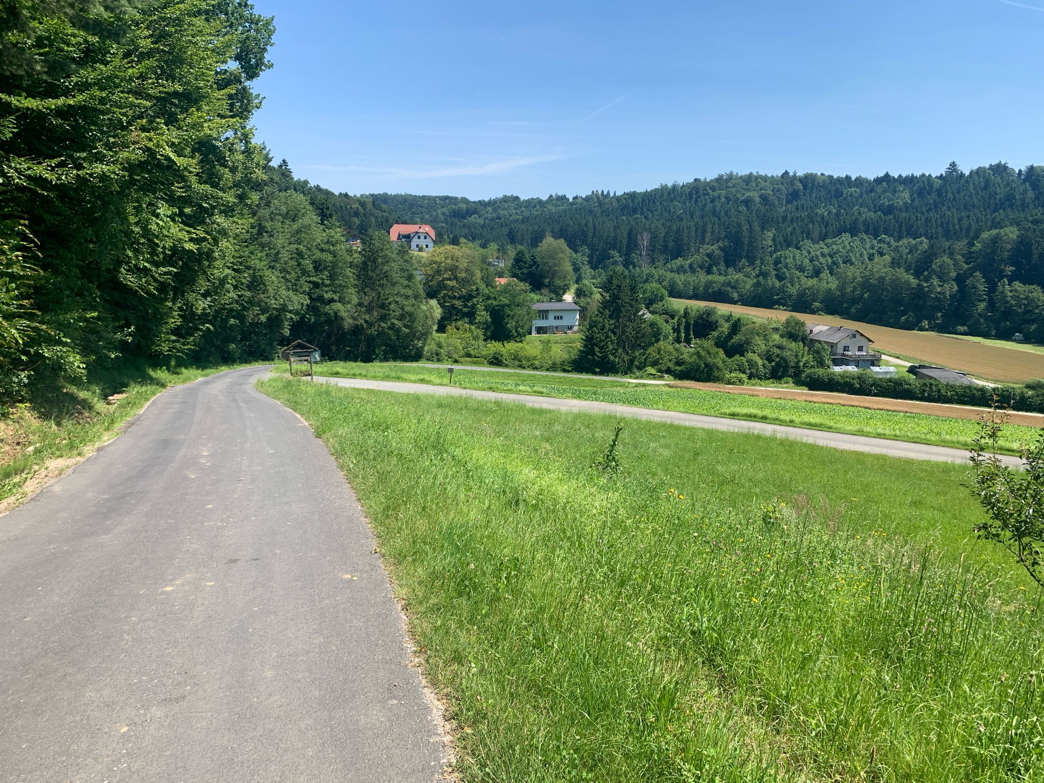 Aschenbachberg