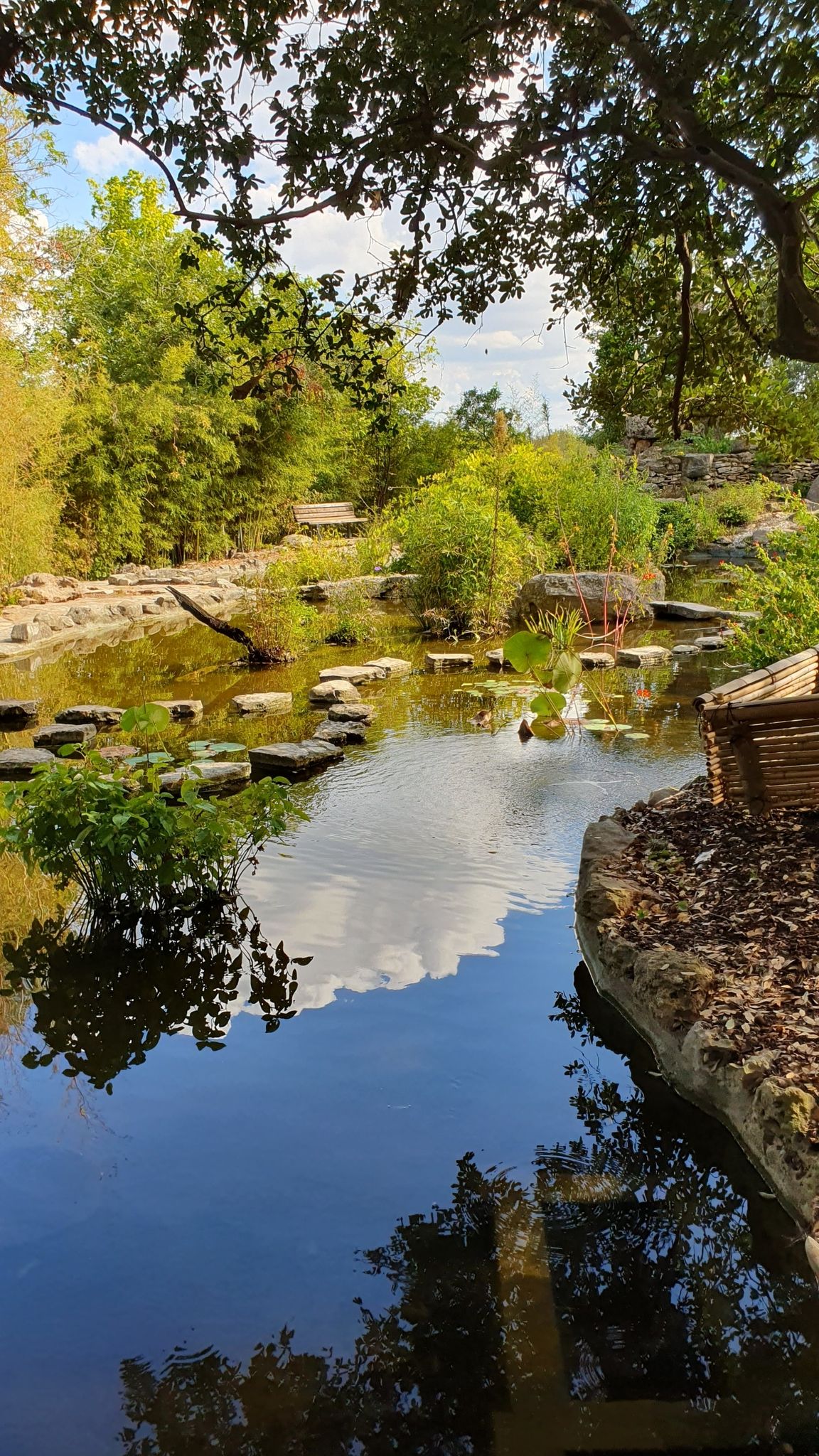 A winding stream with stepping stones, surrounded by lush green trees. - Stratford Trail
