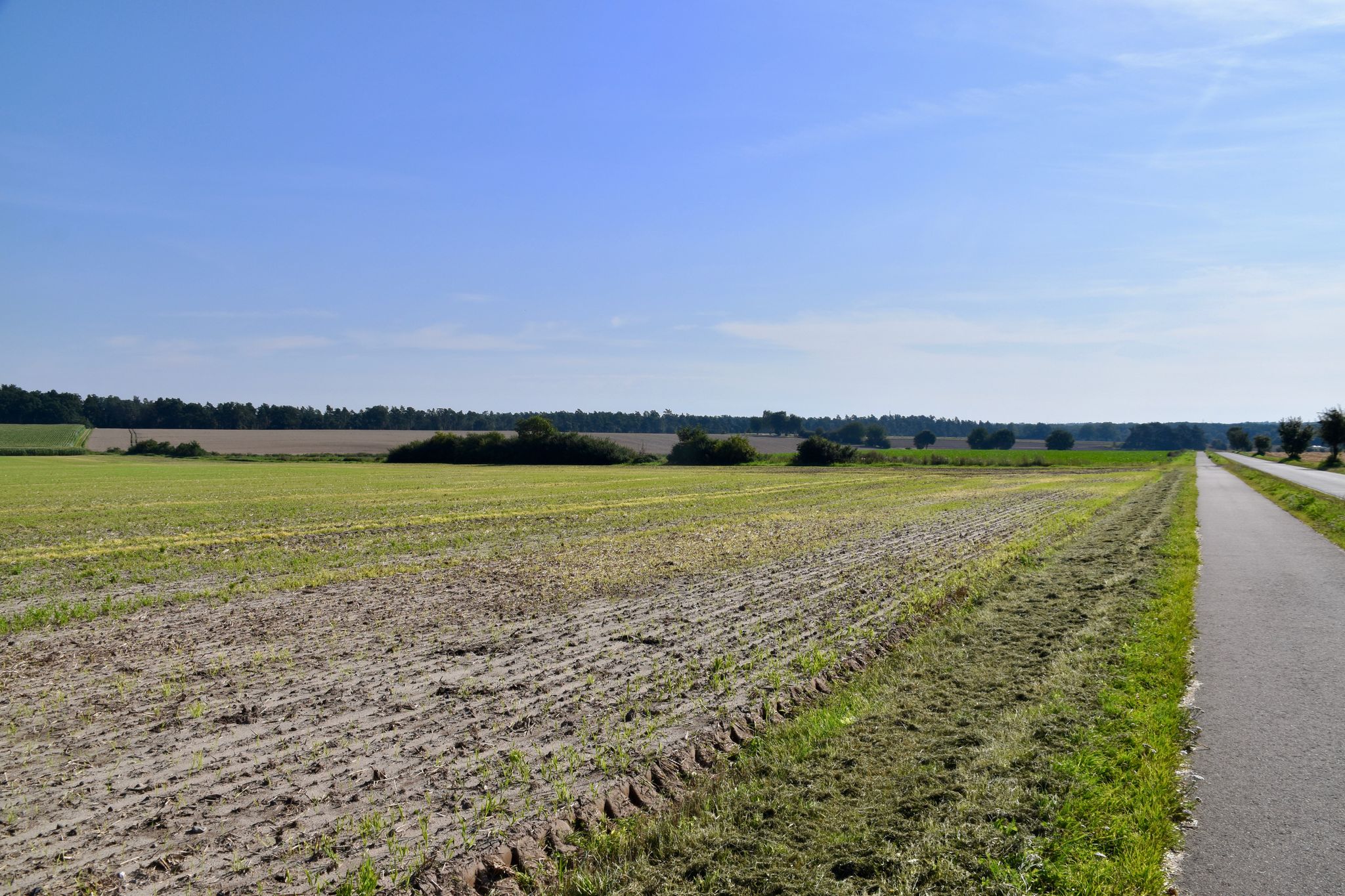 Blick zurück von Südergellersen