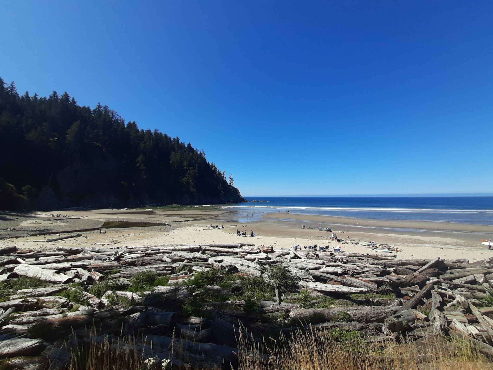 Wide sandy beach with abundant driftwood, distant people, under a clear blue sky. - Coastline View – Short Sand Beach loop from Oswald West State Park