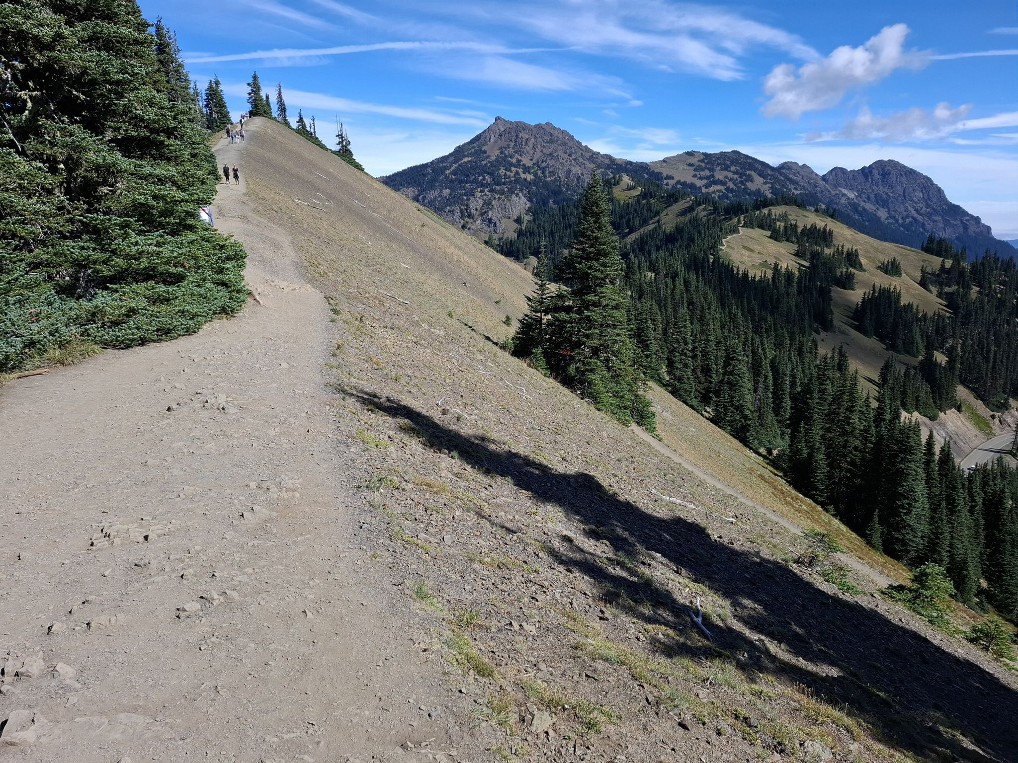 A dirt trail ascends a steep, sunny hillside with distant mountains and hikers. - Mount Angeles Trail