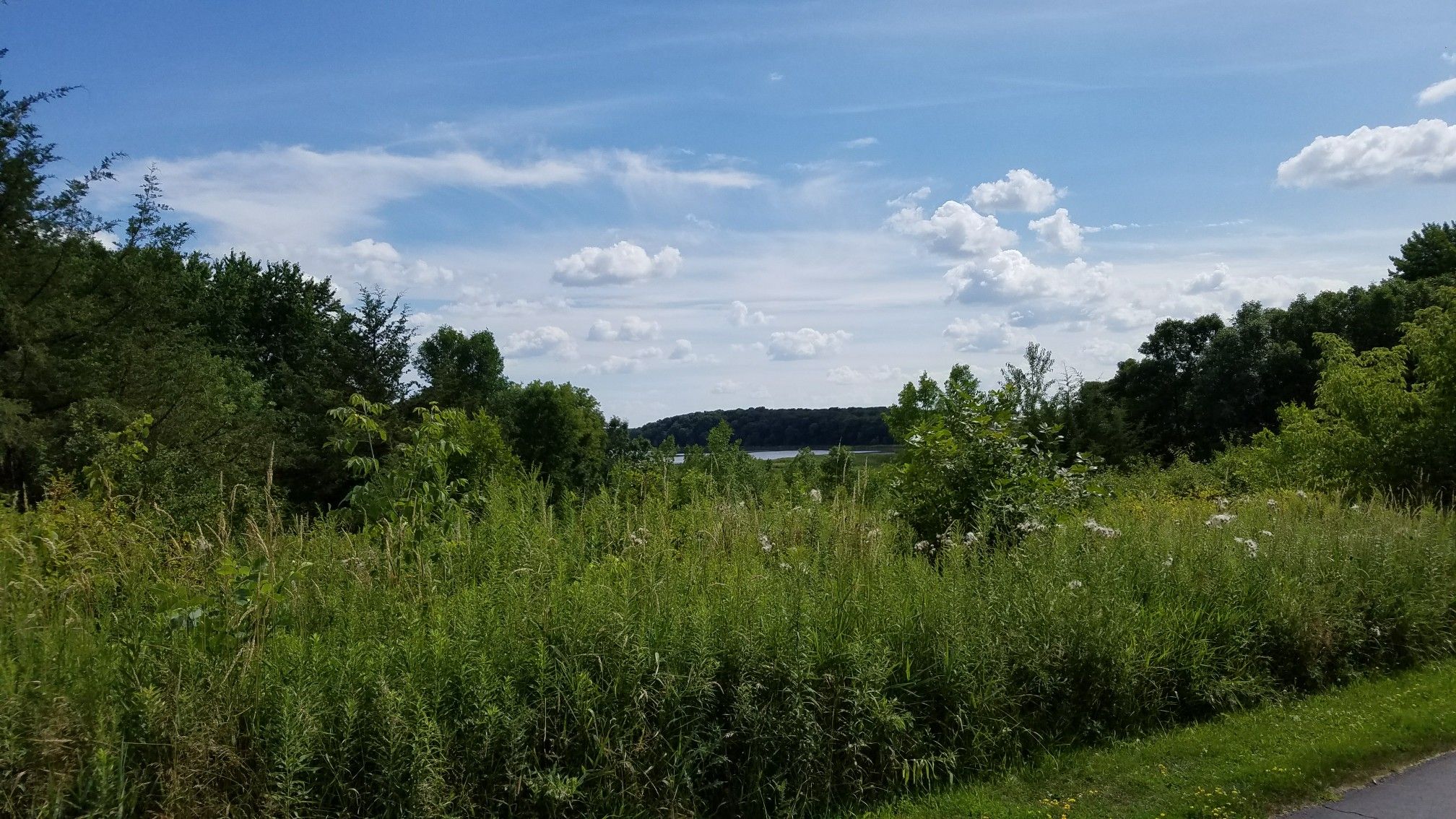 Green field and trees with a distant body of water under a blue sky. - Welcome to Loretto Sign loop from 28 Av N
