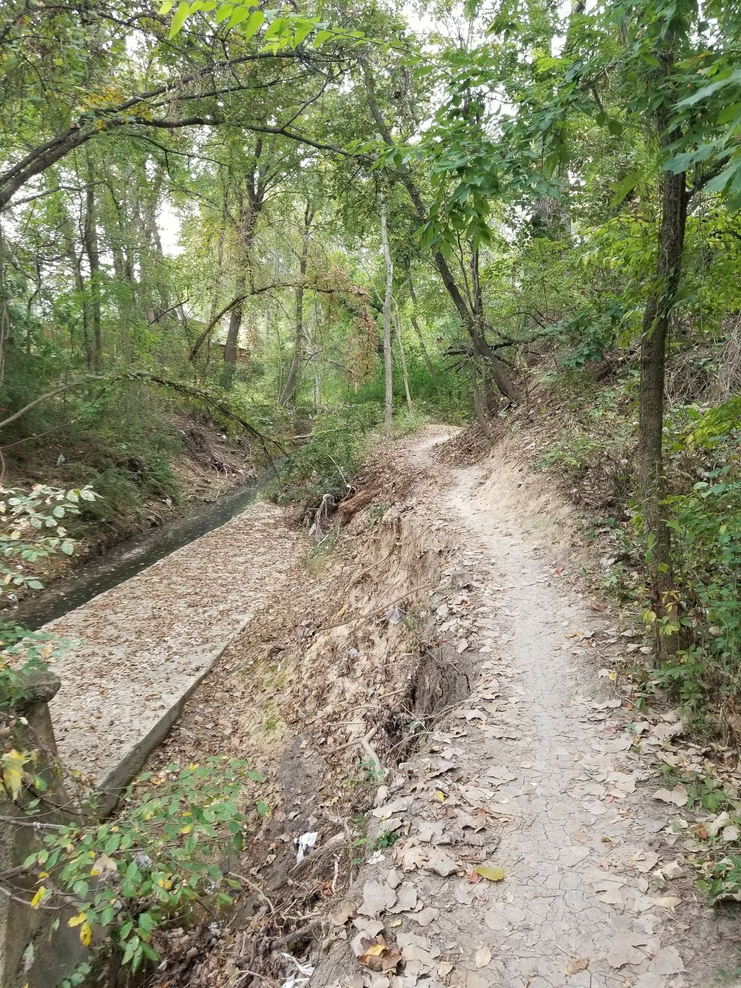 Dirt path next to a concrete channel in a green forest. - Rowlett Creek North Loop