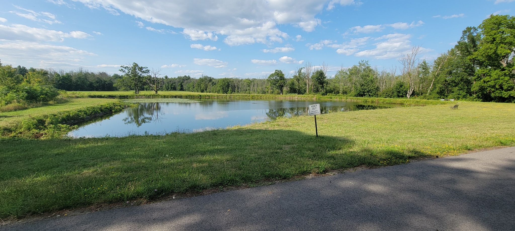 Bright sunny day over a calm pond surrounded by green grass and trees. - Zim Smith Mid County Trailhead loop from Town of Clifton Park