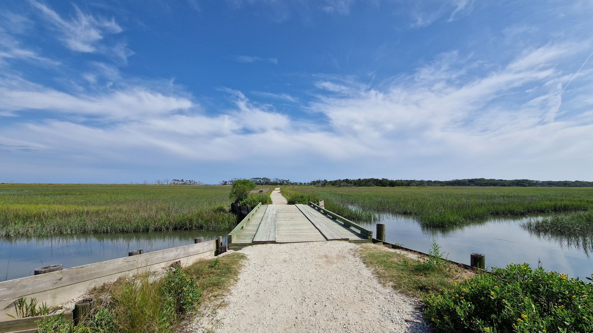 Wooden bridge over water, surrounded by green marsh under a bright blue sky. - Botany Bay Beach Walk