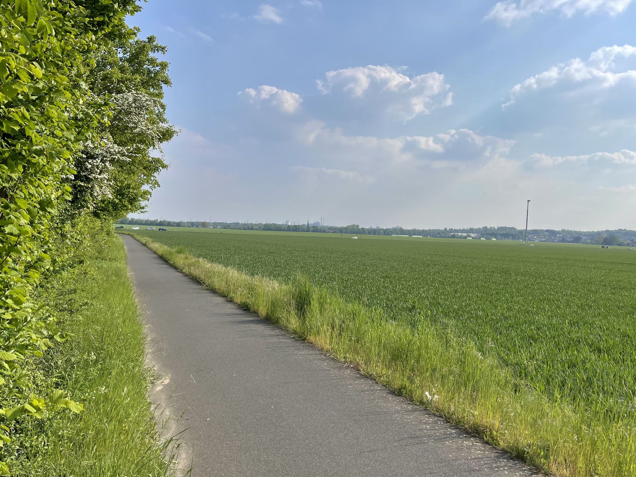 Fahrradweg neben der Hauptstraße