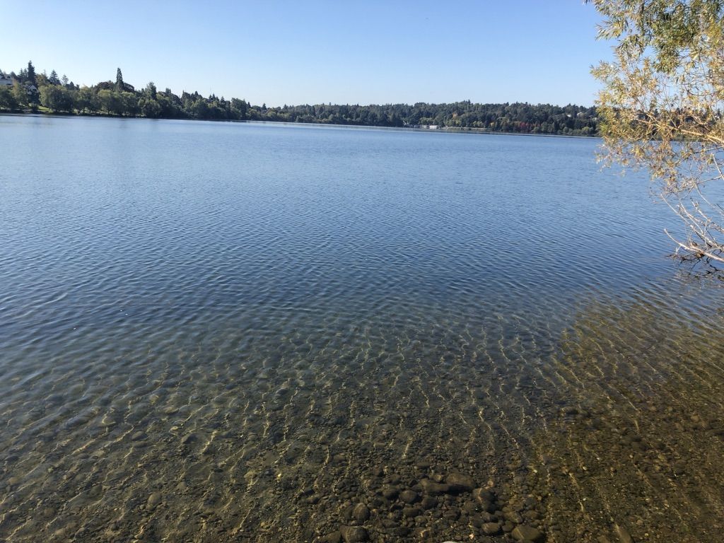 Clear, shallow lake water with distant trees under a bright sunny sky. - Green Lake Park – Echo Lake loop from Roosevelt