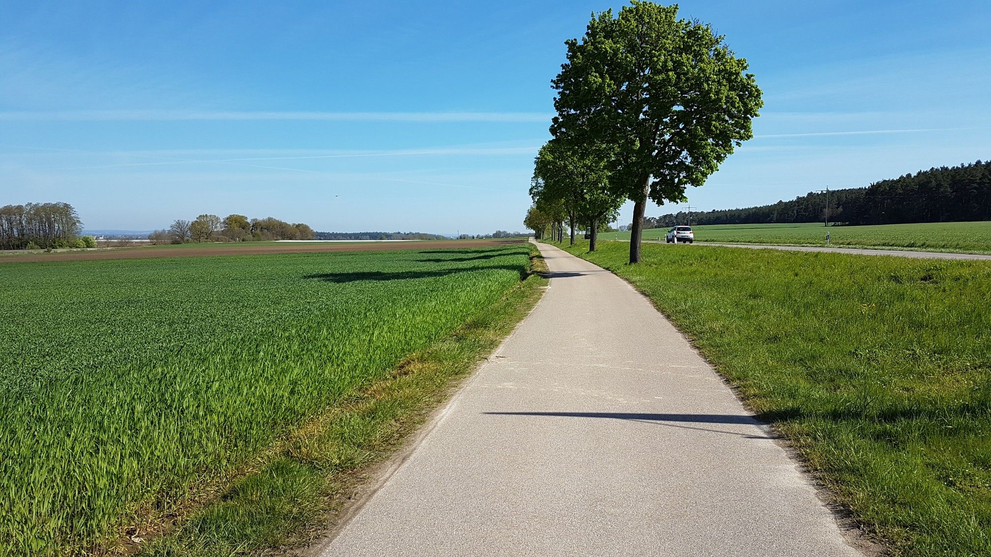 asphaltierter Radweg 