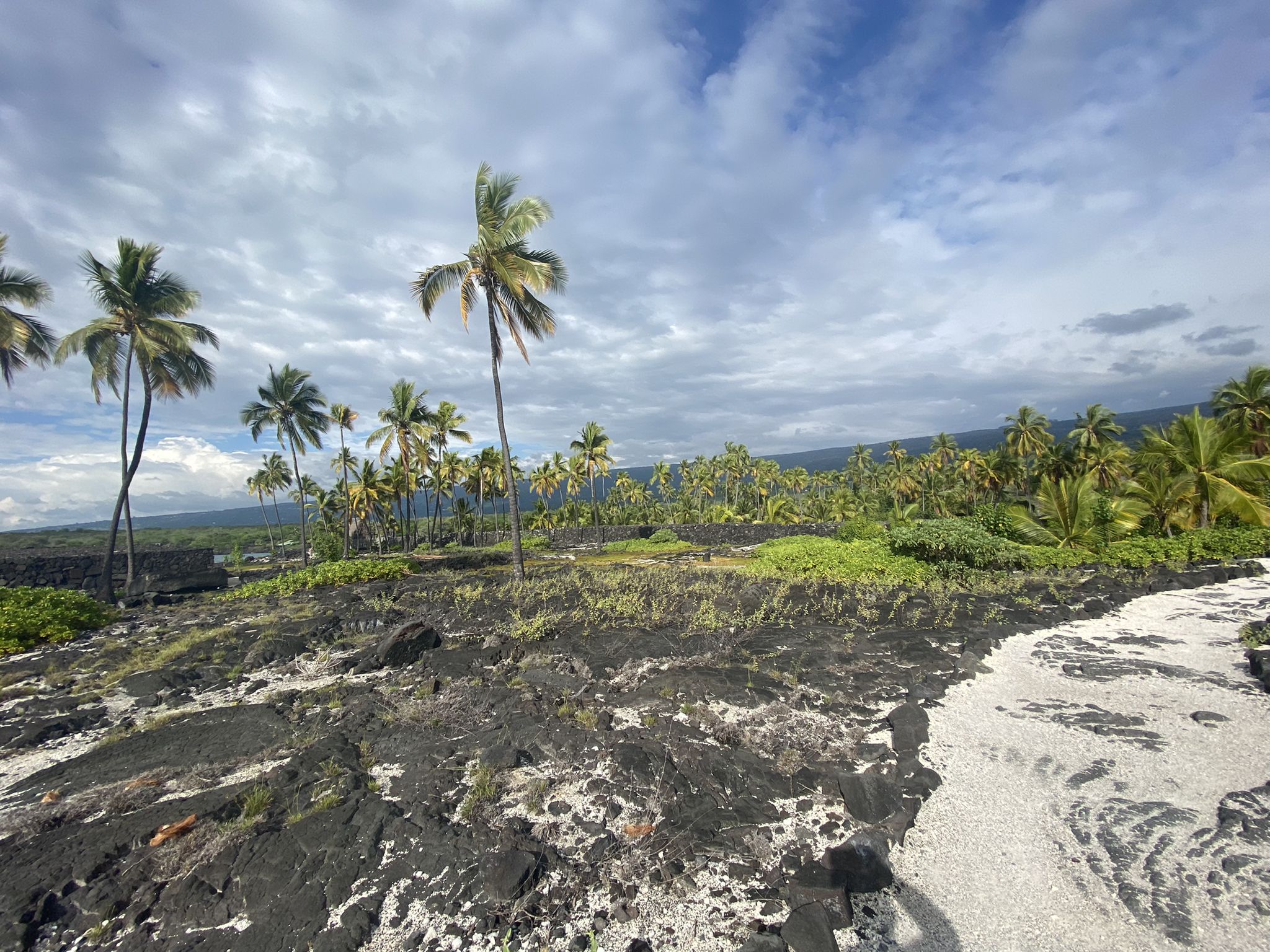 Black volcanic rock, white sand, and palm trees under a cloudy sky. - Big Island 3D-Model – Two Step Beach loop from Keomo Point
