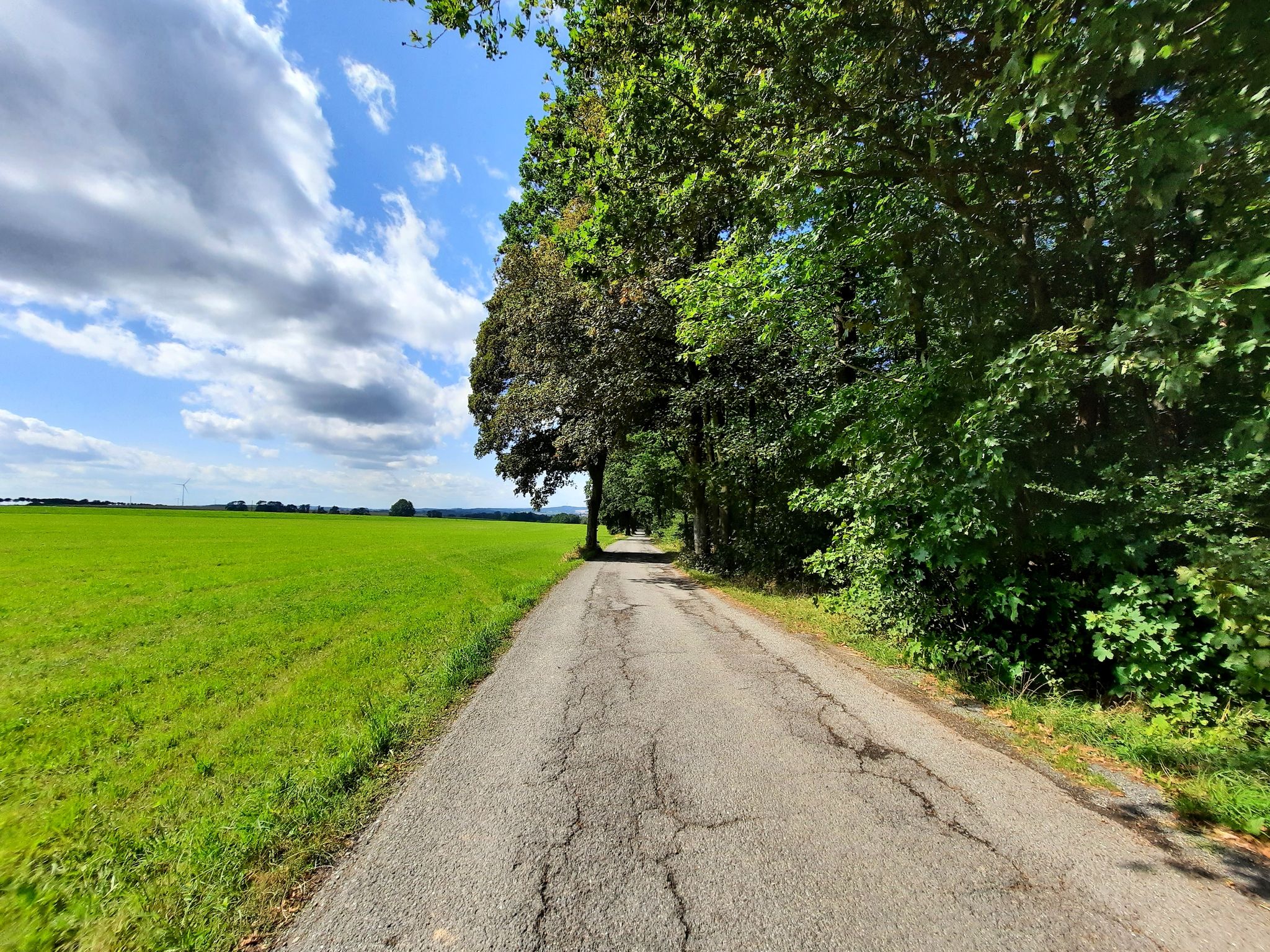 Oberneumarker Weg