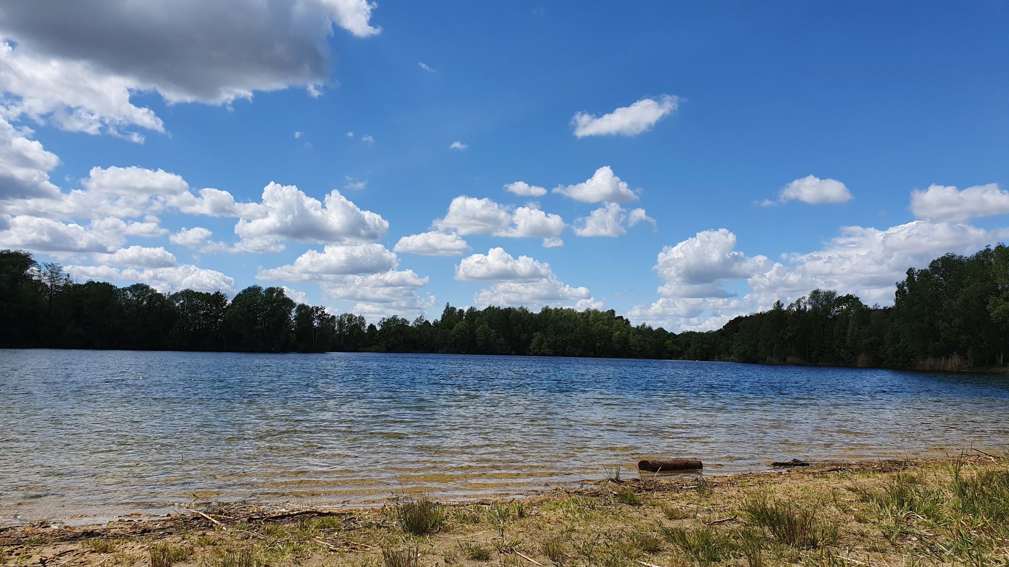 Bienroder See