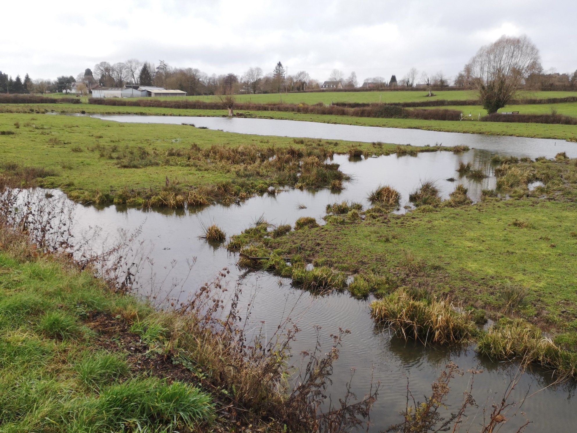 Zone humide le long de la sambre à Landrecies 