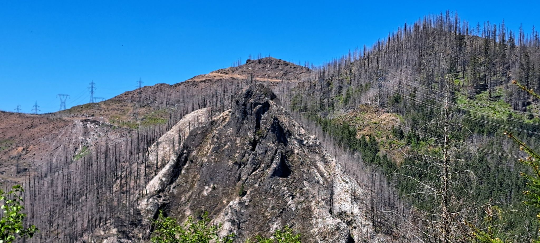 Charred mountain landscape with dead trees and some green regrowth under a clear blue sky. - Lookout Mountain Road Loop