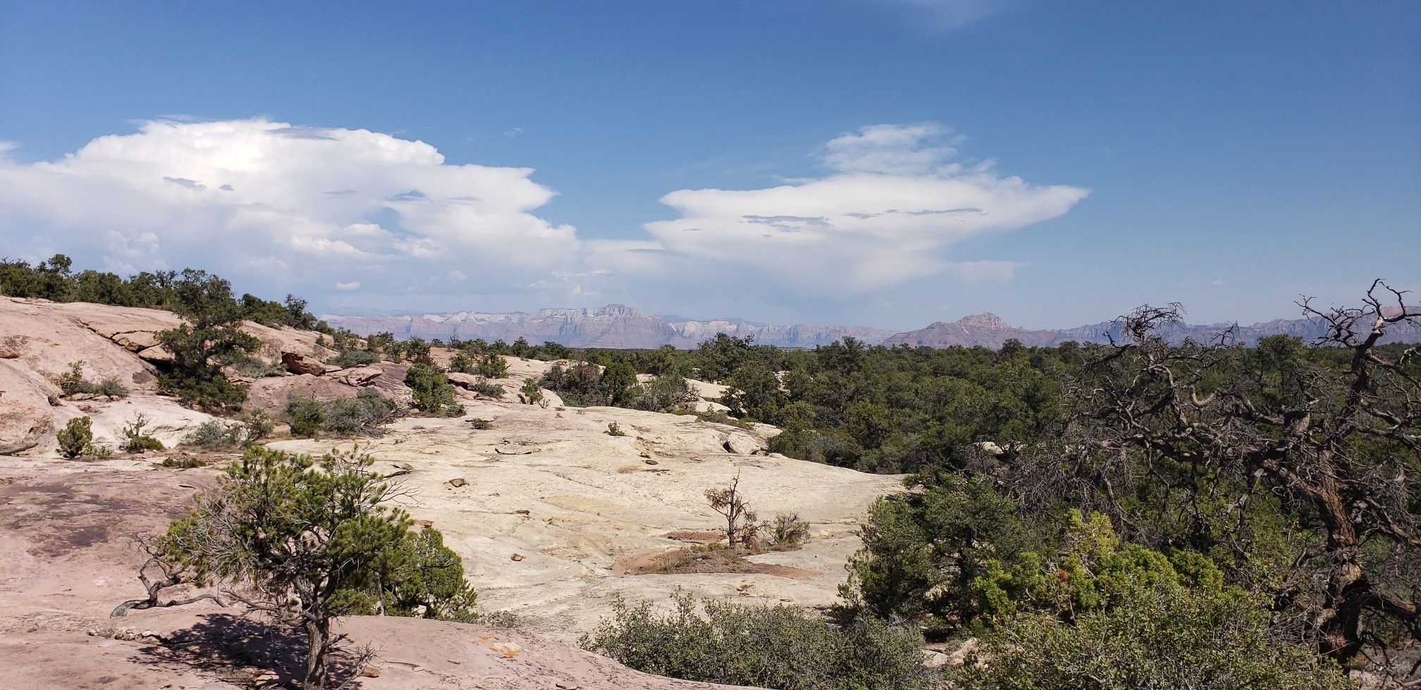 Desert landscape with rocky ground, green trees, and distant mountains under a partly cloudy sky. - Little Creek Trails – MTB Trails in Hurricane, Utah