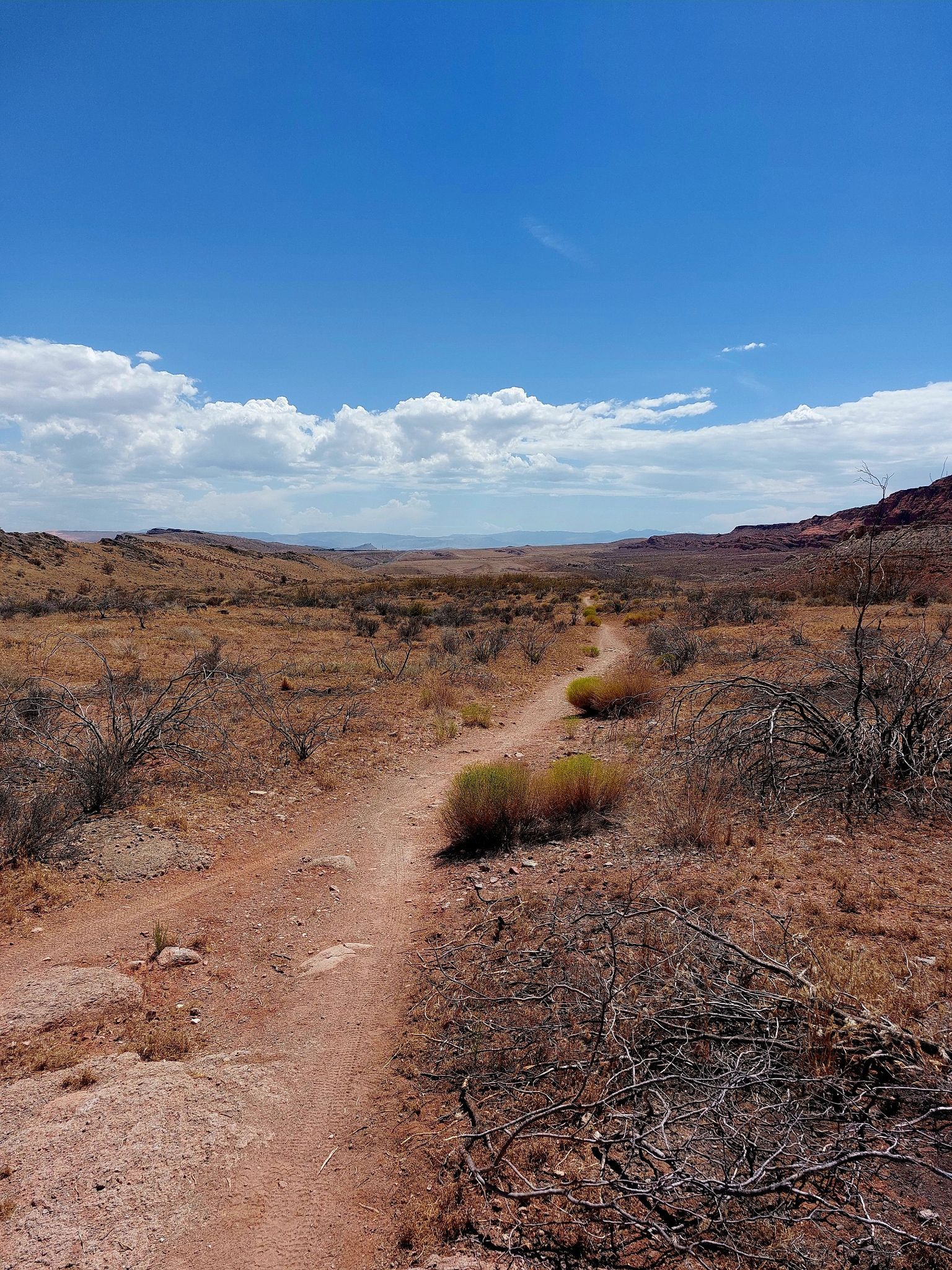 A narrow dirt path stretches through a dry, brushy desert valley. - Views of Pine Valley Mountains – Leeds Reef Trail loop from Harrisburg
