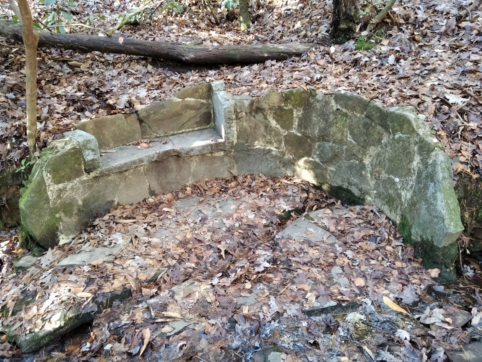 A stone bench sits on a leaf-covered forest floor in dappled sunlight. - Angel Falls Trail