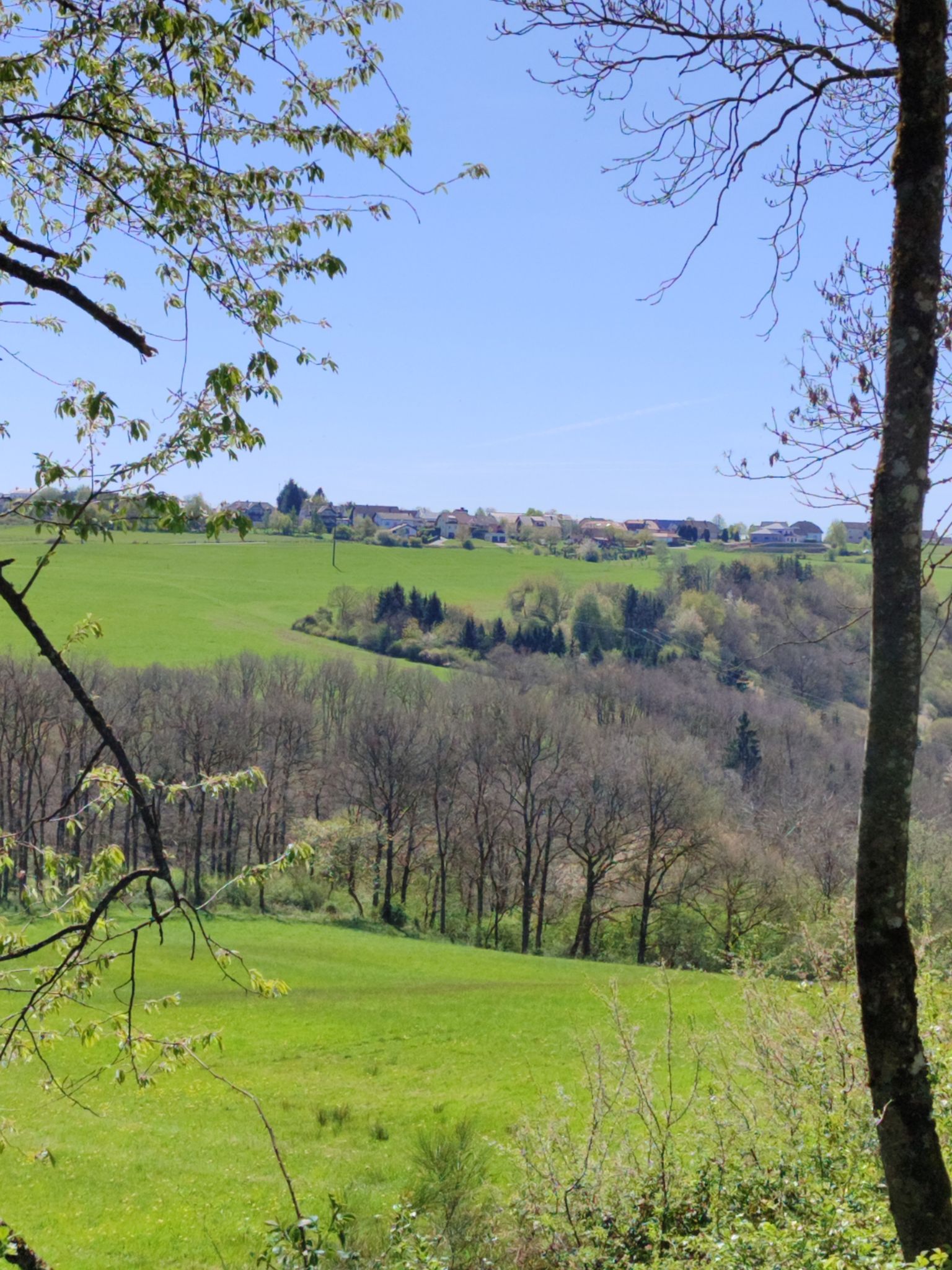 Blick auf Lambertsberg 