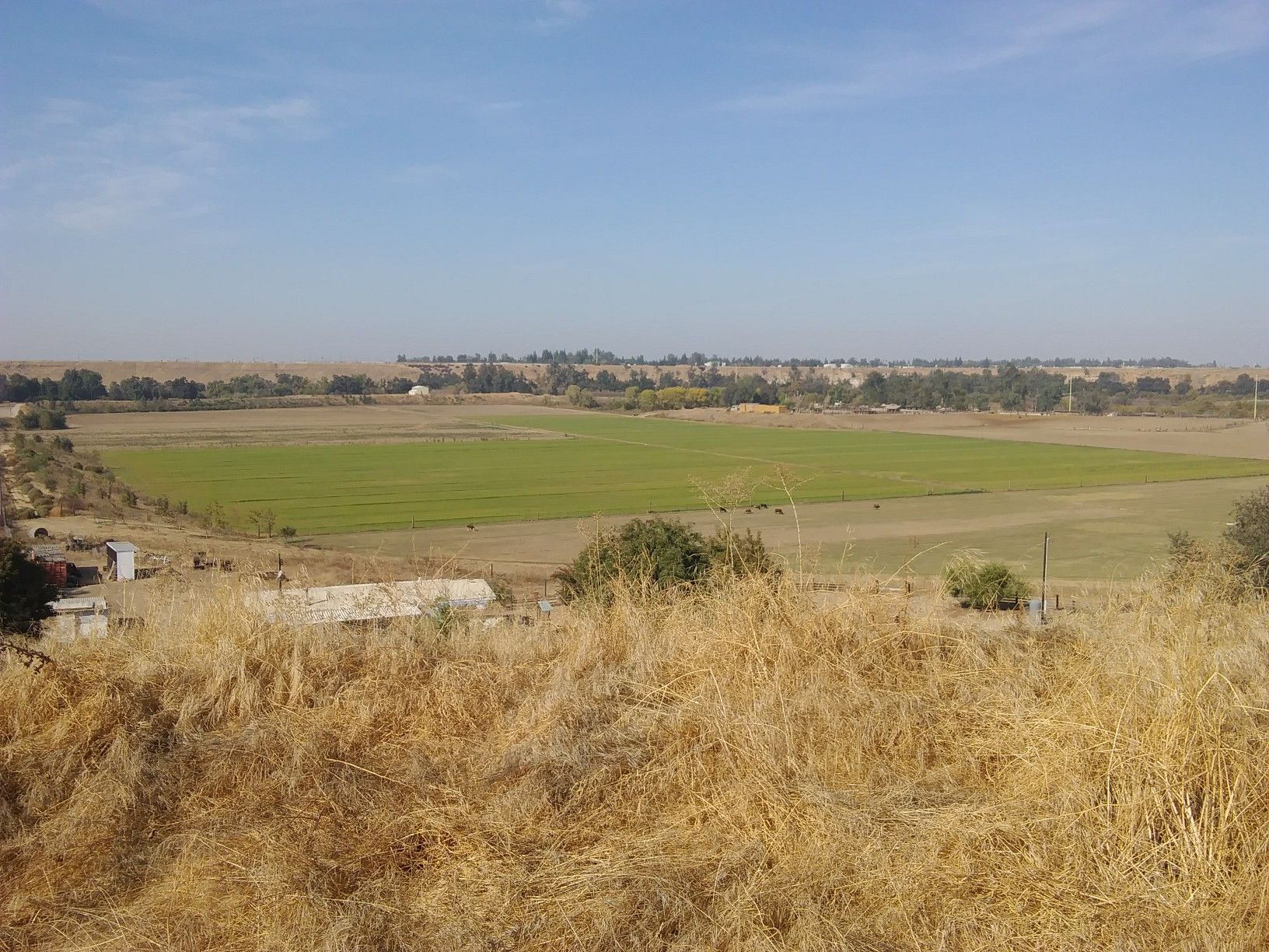 Vast green fields stretch under a clear blue sky, dry foreground. - Lewis S. Eaton Bike Trail