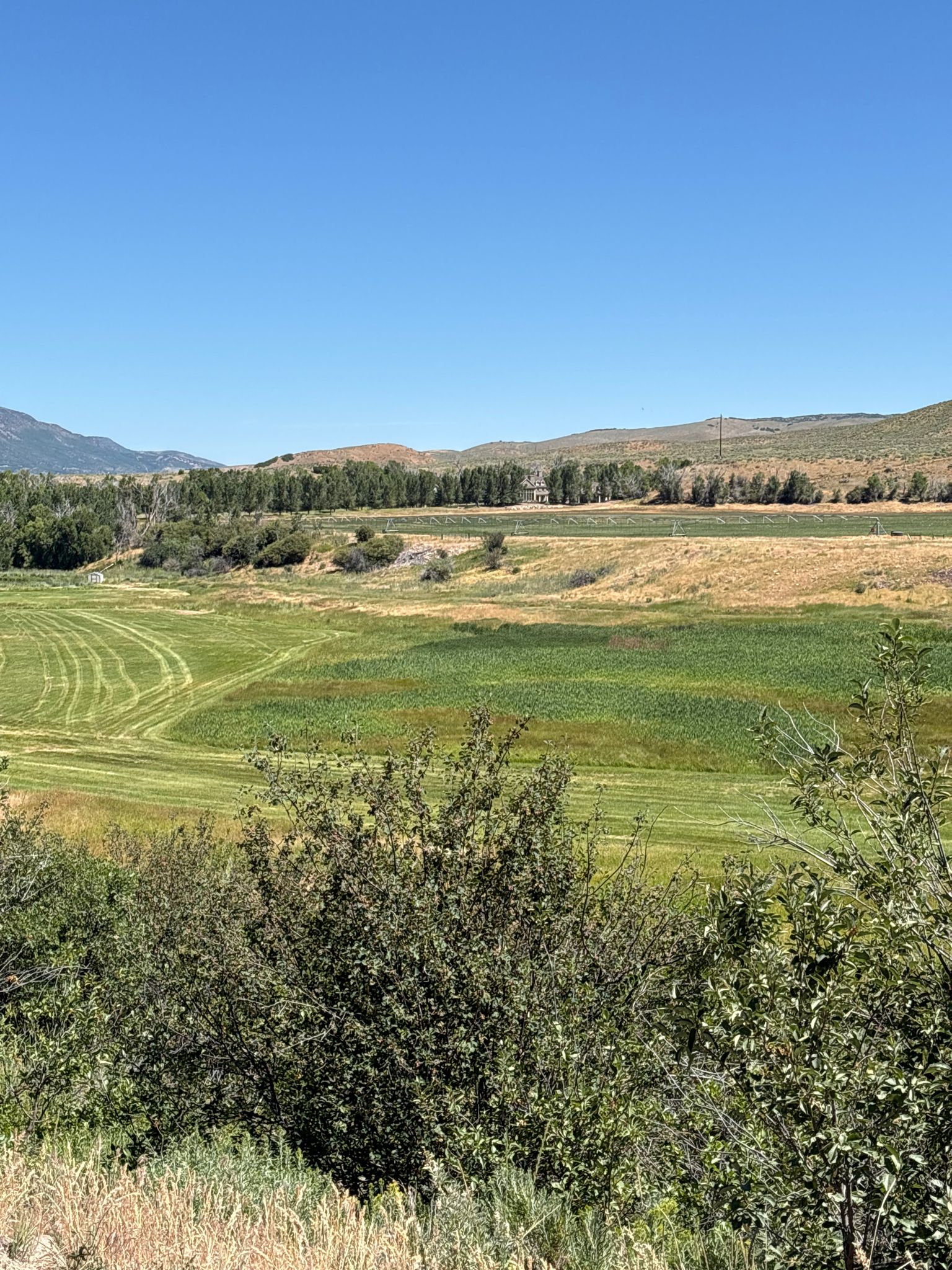 Expansive green and golden fields with distant hills and trees under blue sky. - A – Big Mountain Pass loop from Summit Park
