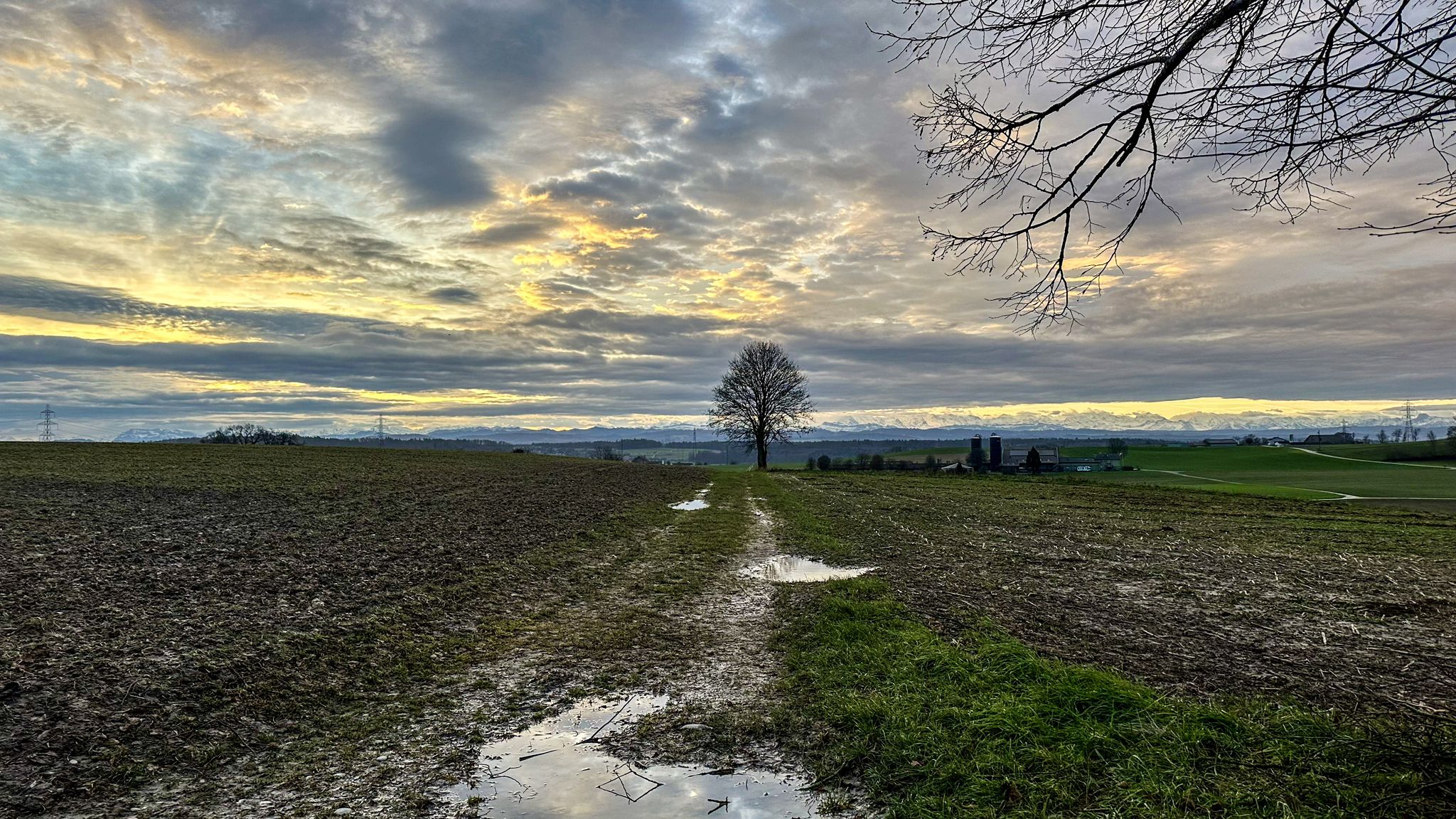 ...Morgenstimmung kurz vor Attiswil🥰...