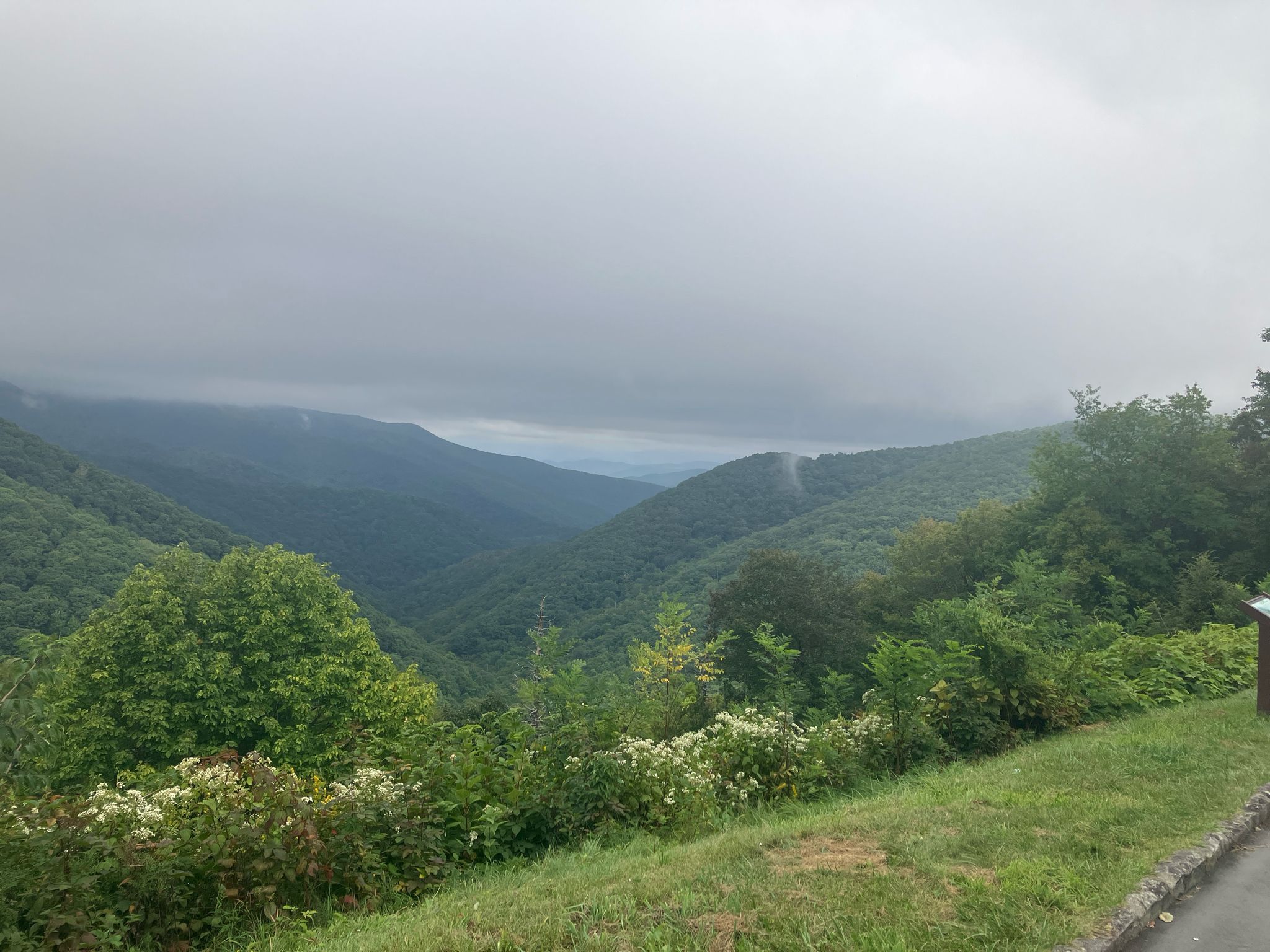 Overcast sky above lush green mountains and valleys, with foreground foliage. - Mount Mitchell from Green Knob Overlook