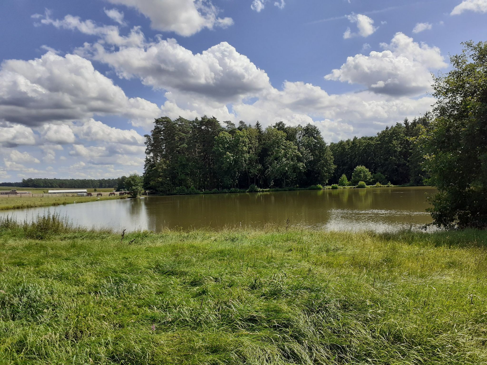 brünst weiher