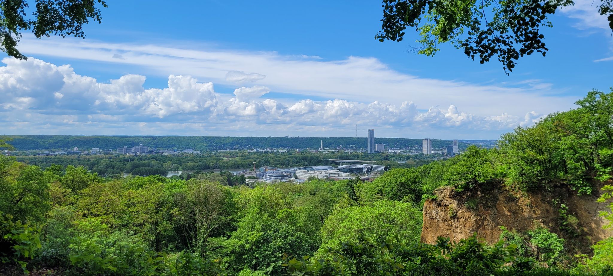 Blick auf Bonn