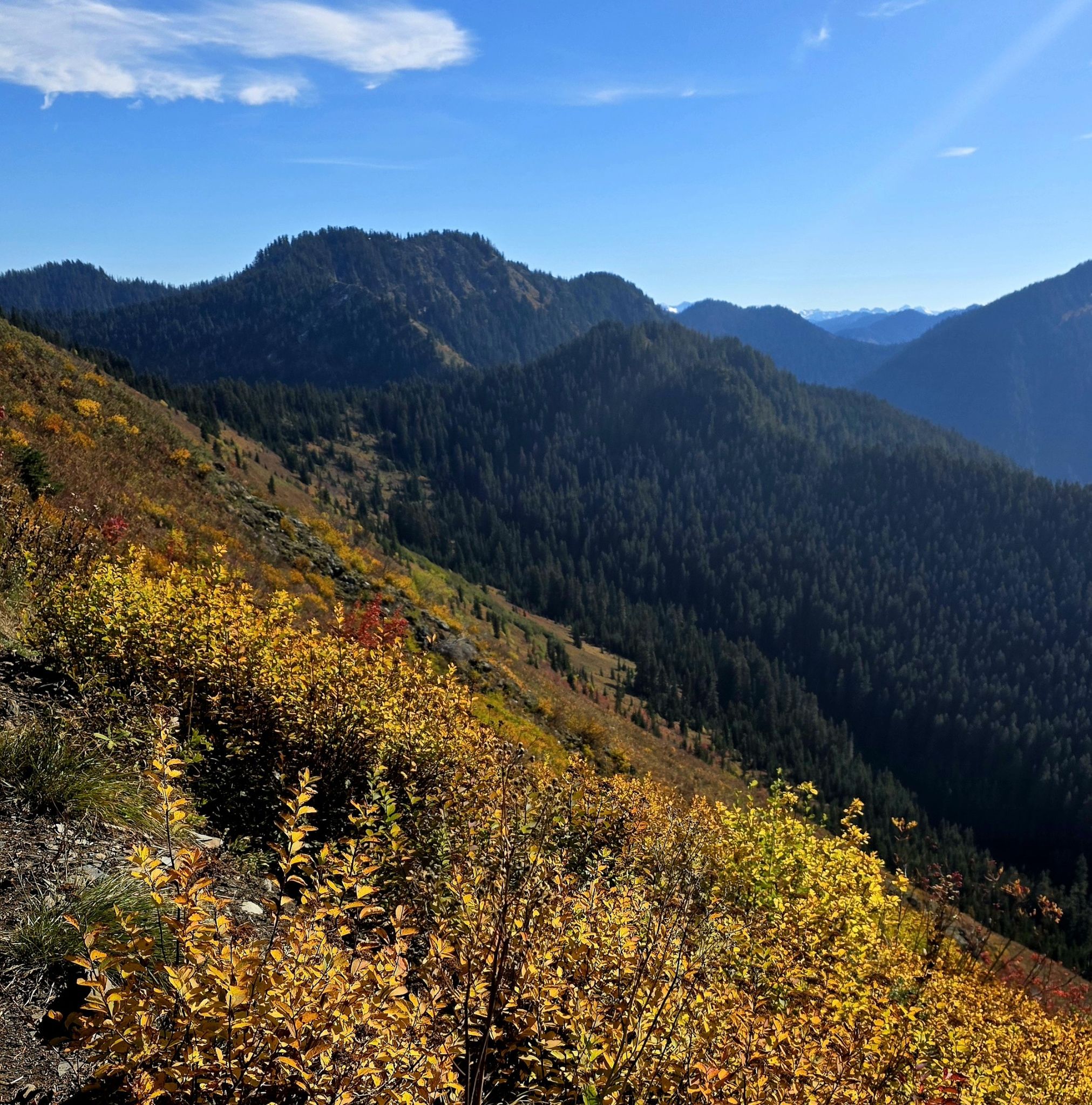 Sunny mountain landscape with vibrant autumn foliage and forested slopes. - Frog Mountain Trail
