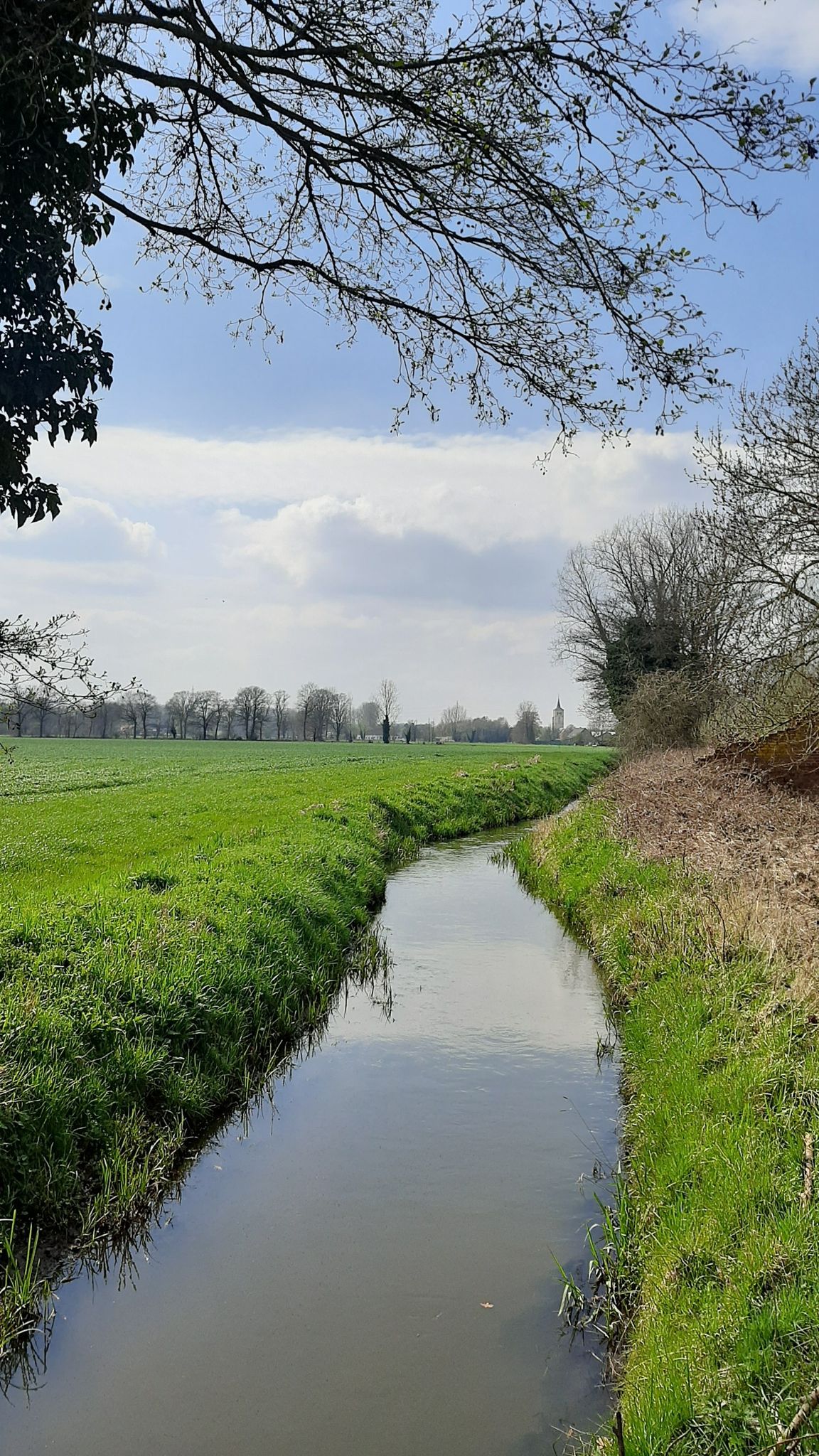 de Itterbeek met de kerk van Tongerlo