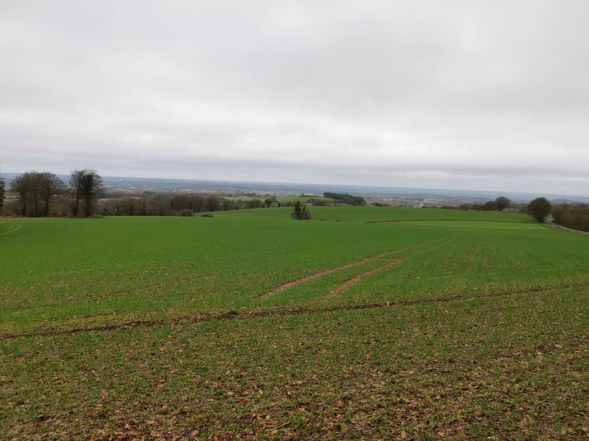 Montée de bel air