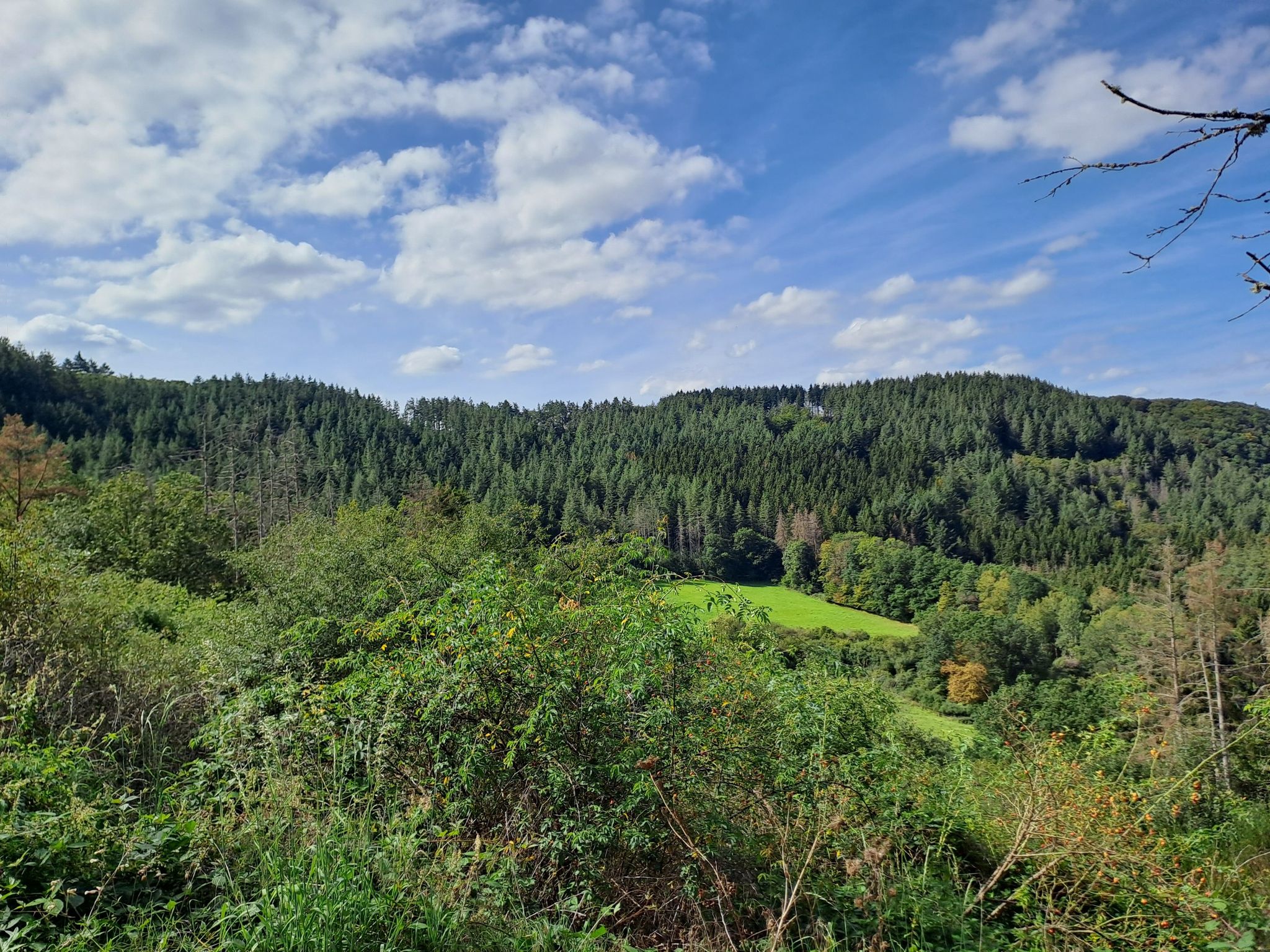 Tschö Eifel  bis nächstes Jahr
