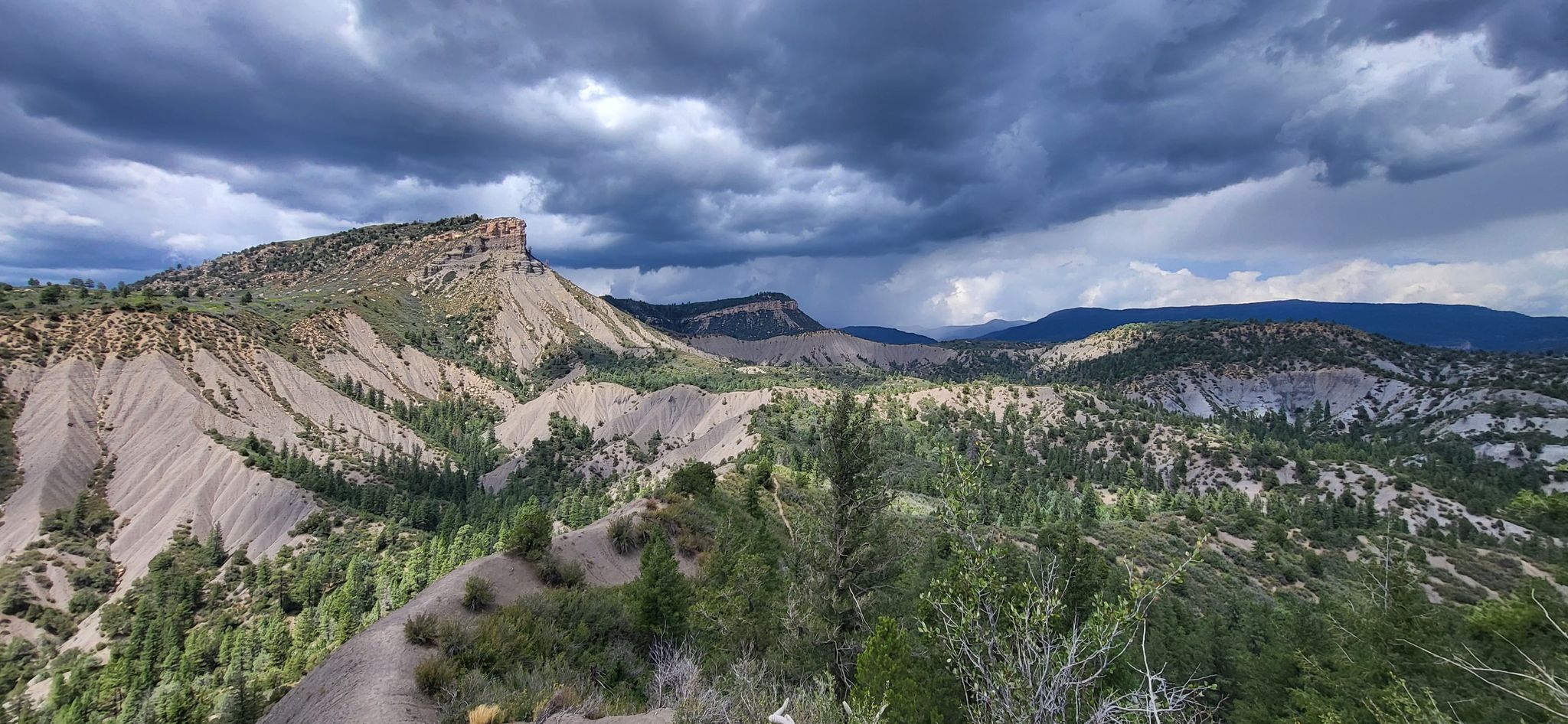 Dramatic mountain landscape with eroded hillsides, green trees, and stormy clouds. - Hogsback Trail Loop