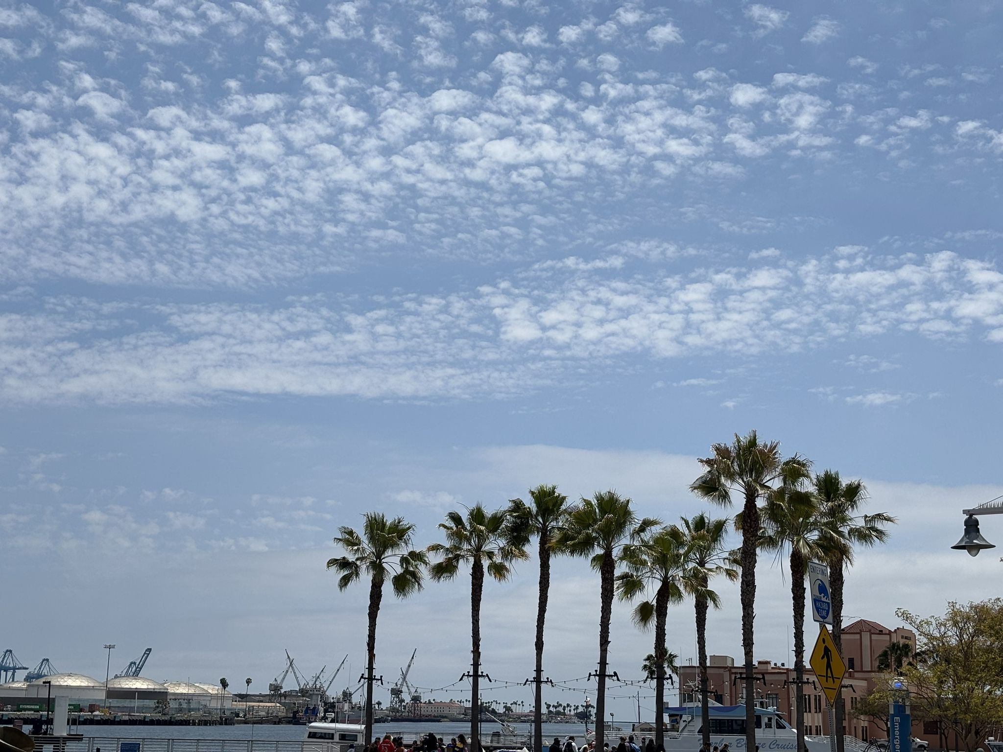 Palm trees silhouetted against a cloudy sky with distant industrial structures. - San Pedro seafront loop from North Pacific Avenue