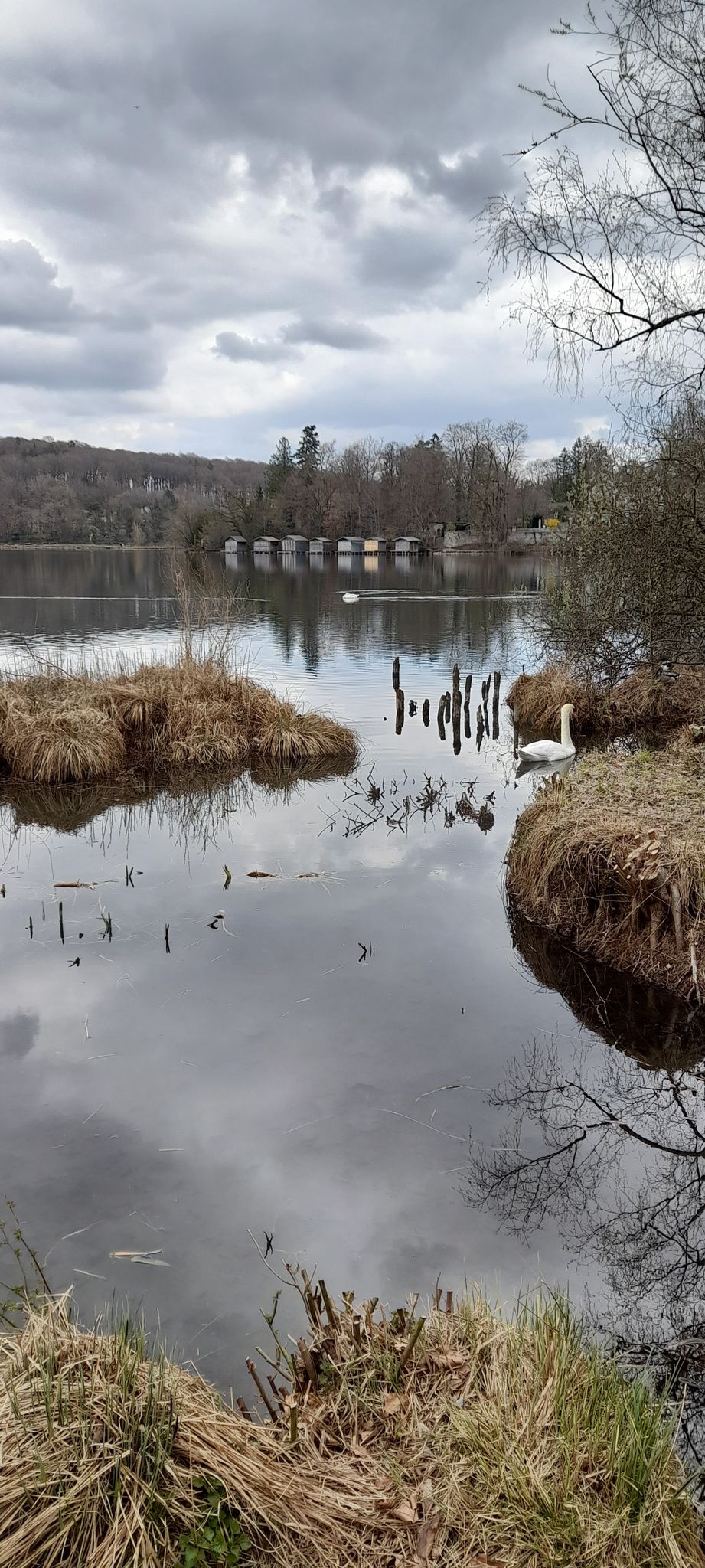 Weßlinger See