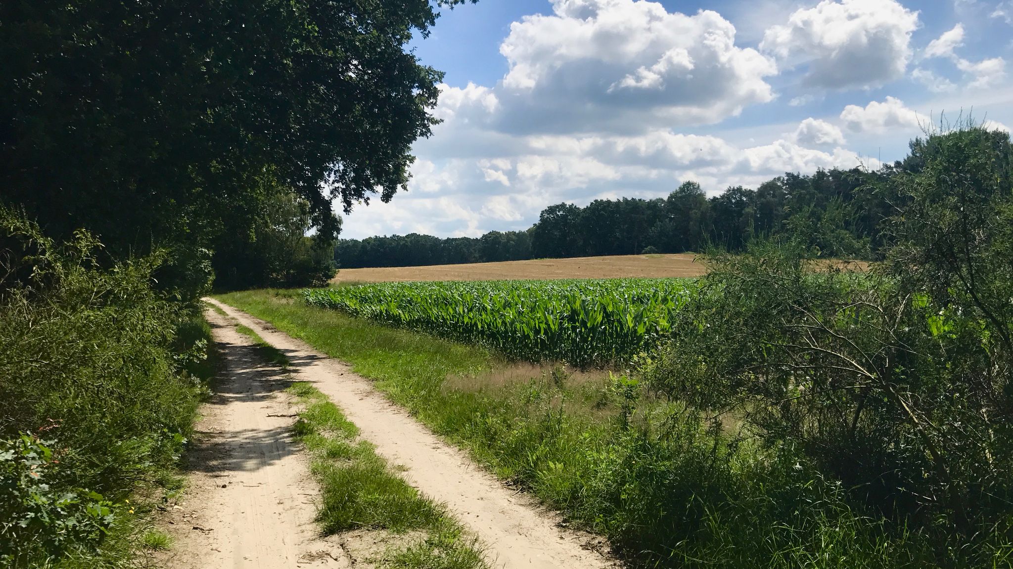 Durch Wald und Flur