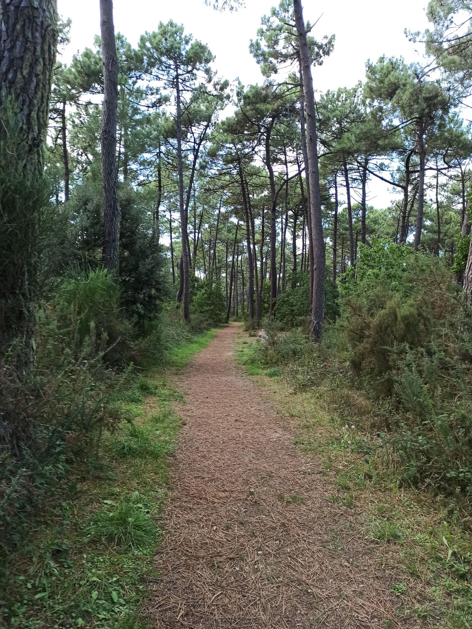 le sentier