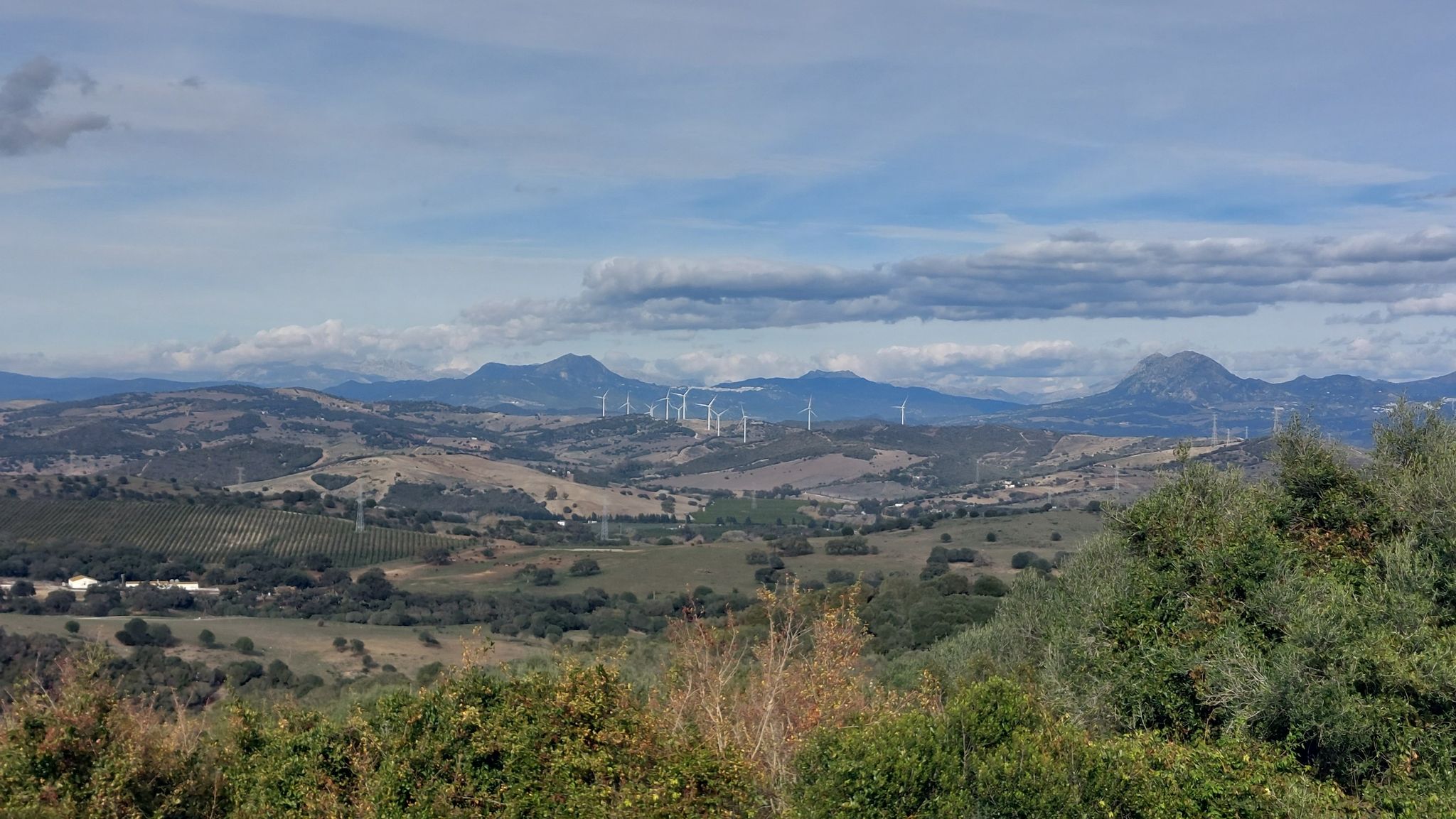 🤩Panorama