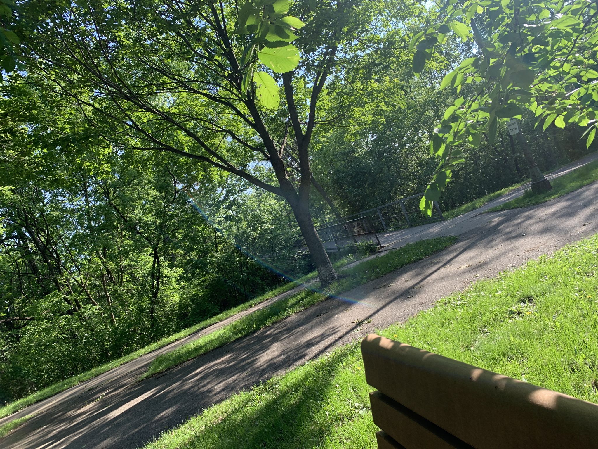 Paved path through a sunny, green wooded area with a bench. - Shingle Creek Regional Trail