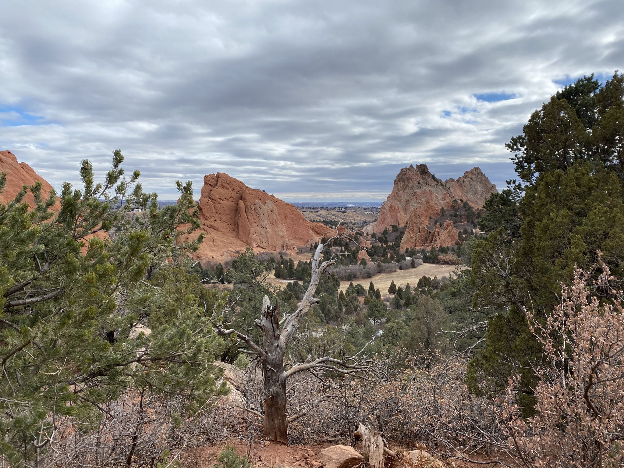 Overcast view of red rock formations through dense foreground trees. - Palmer and Central Garden Loop Trail