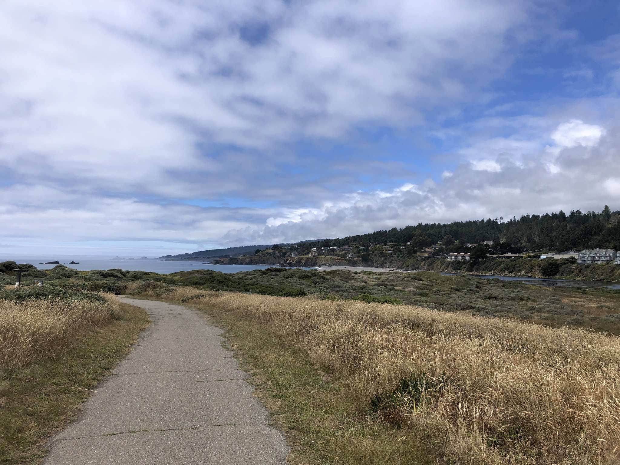A paved path winds through golden grass towards a distant, cloudy coastline. - Salal and Bluff Trail Loop