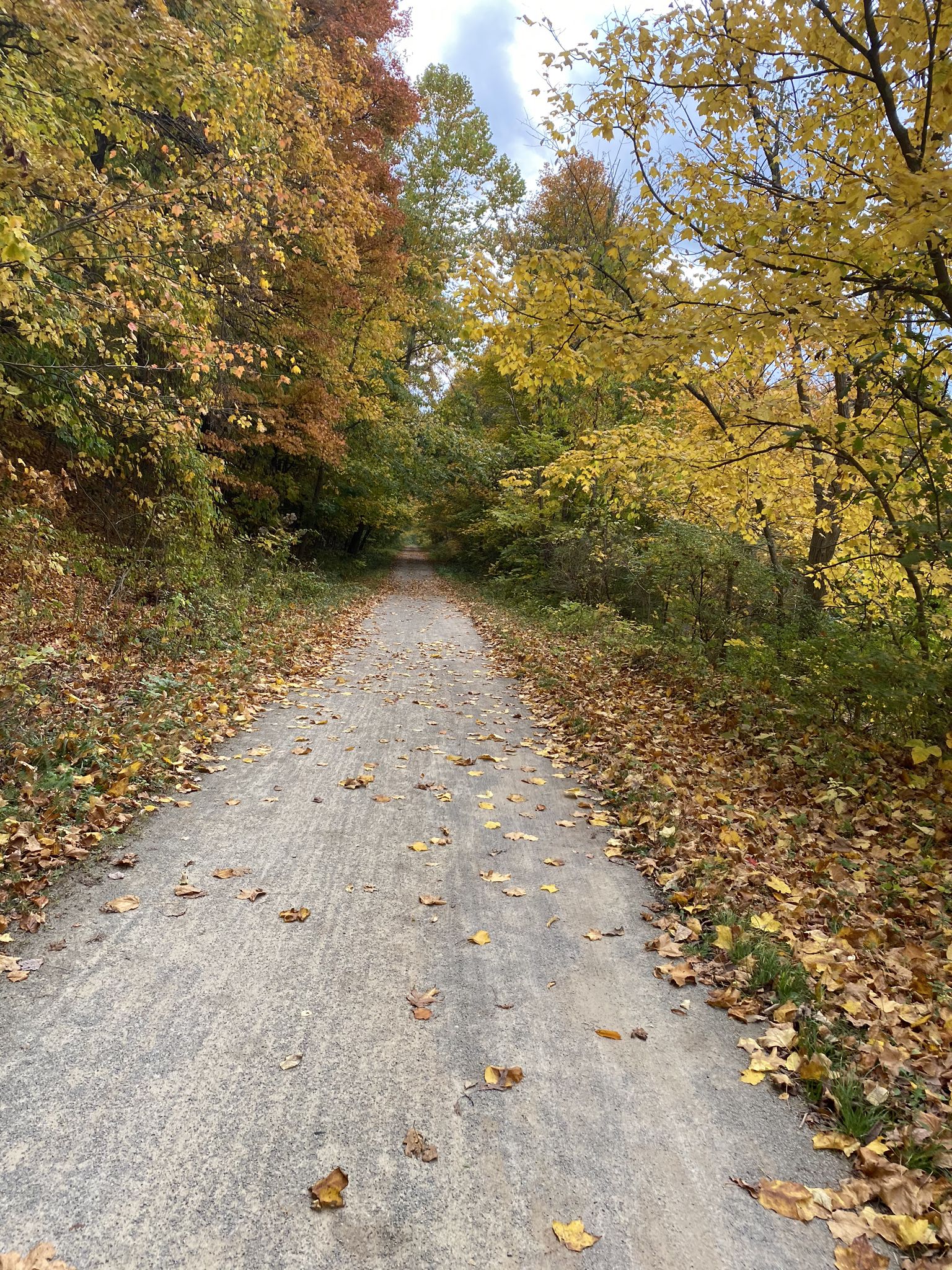 A path covered in autumn leaves, surrounded by trees with vibrant fall foliage. - Helicon Brewery – Montour Trail loop from Boggs Road