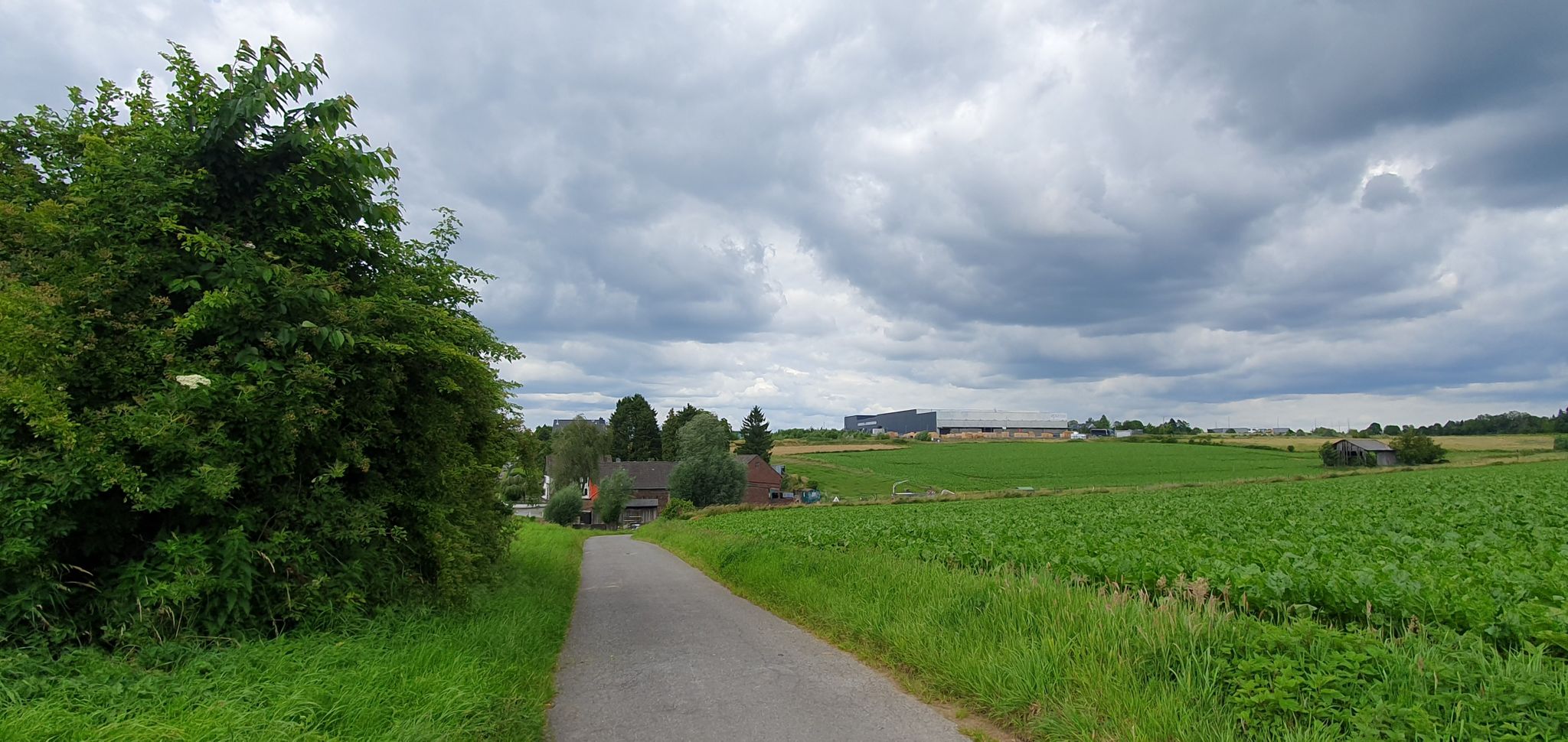 Kriekhausen