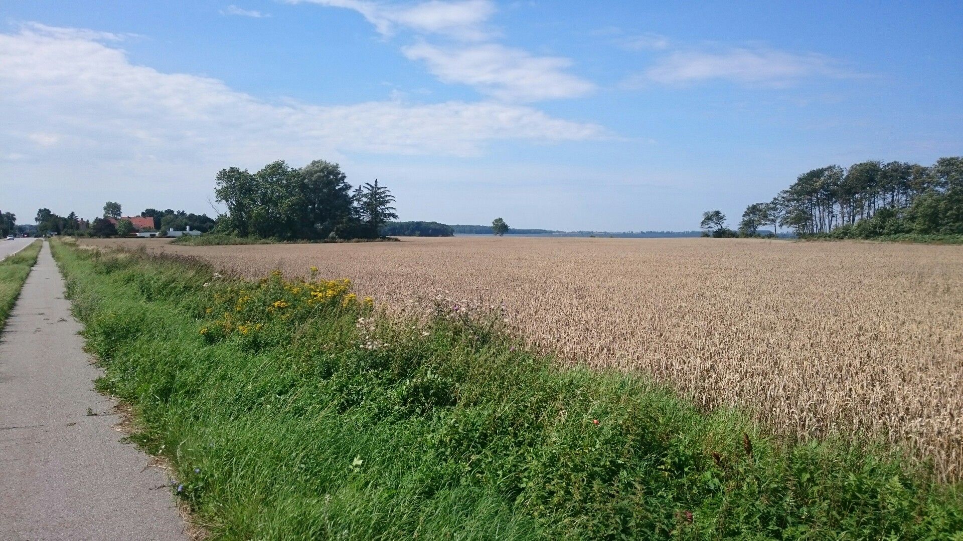 Guldborg